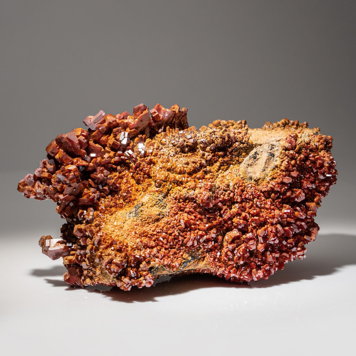 Vanadinite Crystal Cluster on Matrix from Mibladen, Atlas Mountains, Khénifra Pr In New Condition For Sale In New York, NY