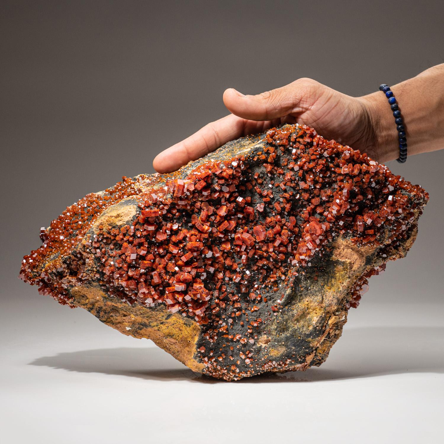 Grupo de cristales de vanadinita sobre matriz procedentes de Mibladen, montañas del Atlas, Khénifra Pr en Nuevo estado para la venta en New York, NY