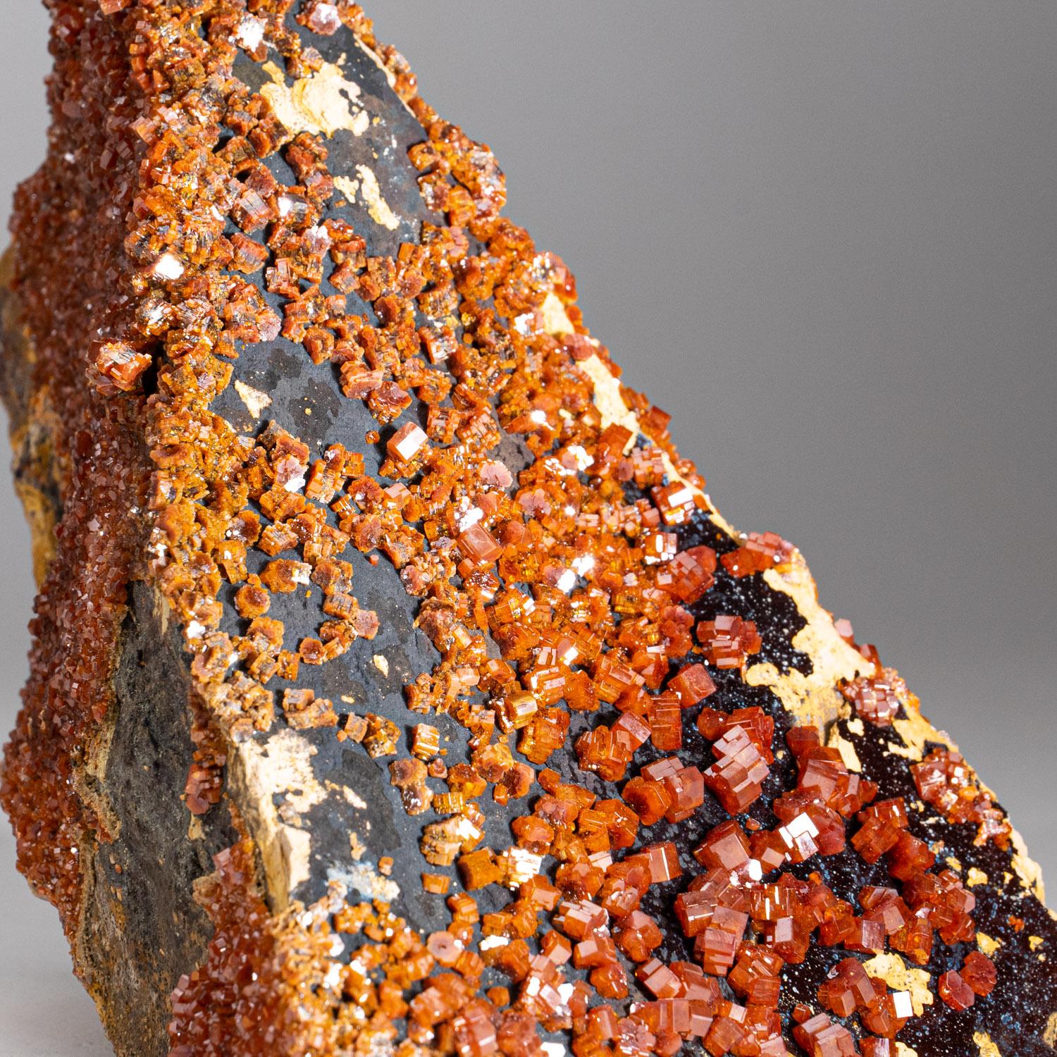 Amas de cristaux de vanadinite sur matrice de Mibladen, montagnes de l'Atlas, Khénifra Pr Neuf - En vente à New York, NY