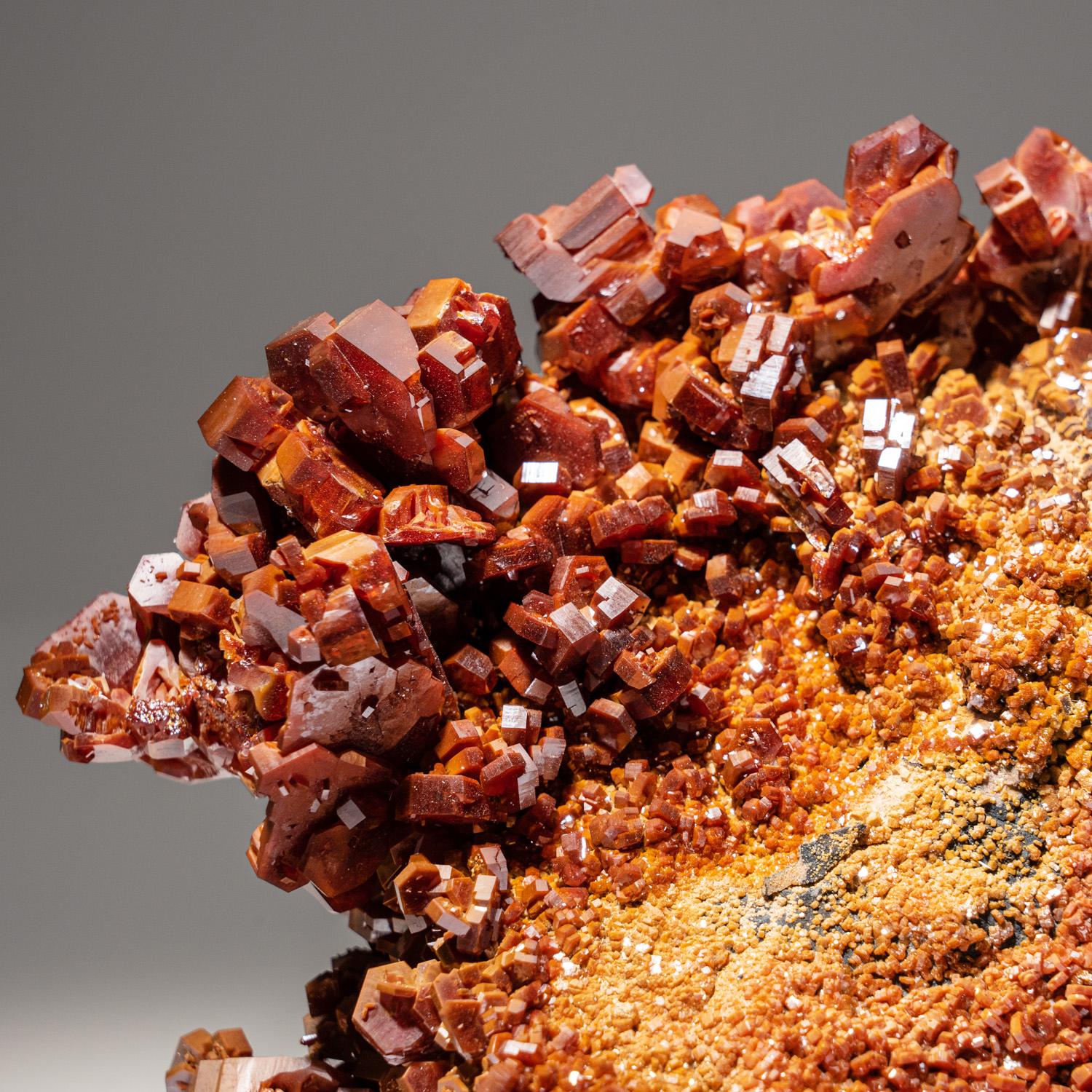 Contemporary Vanadinite Crystal Cluster on Matrix from Mibladen, Atlas Mountains, Khénifra Pr For Sale