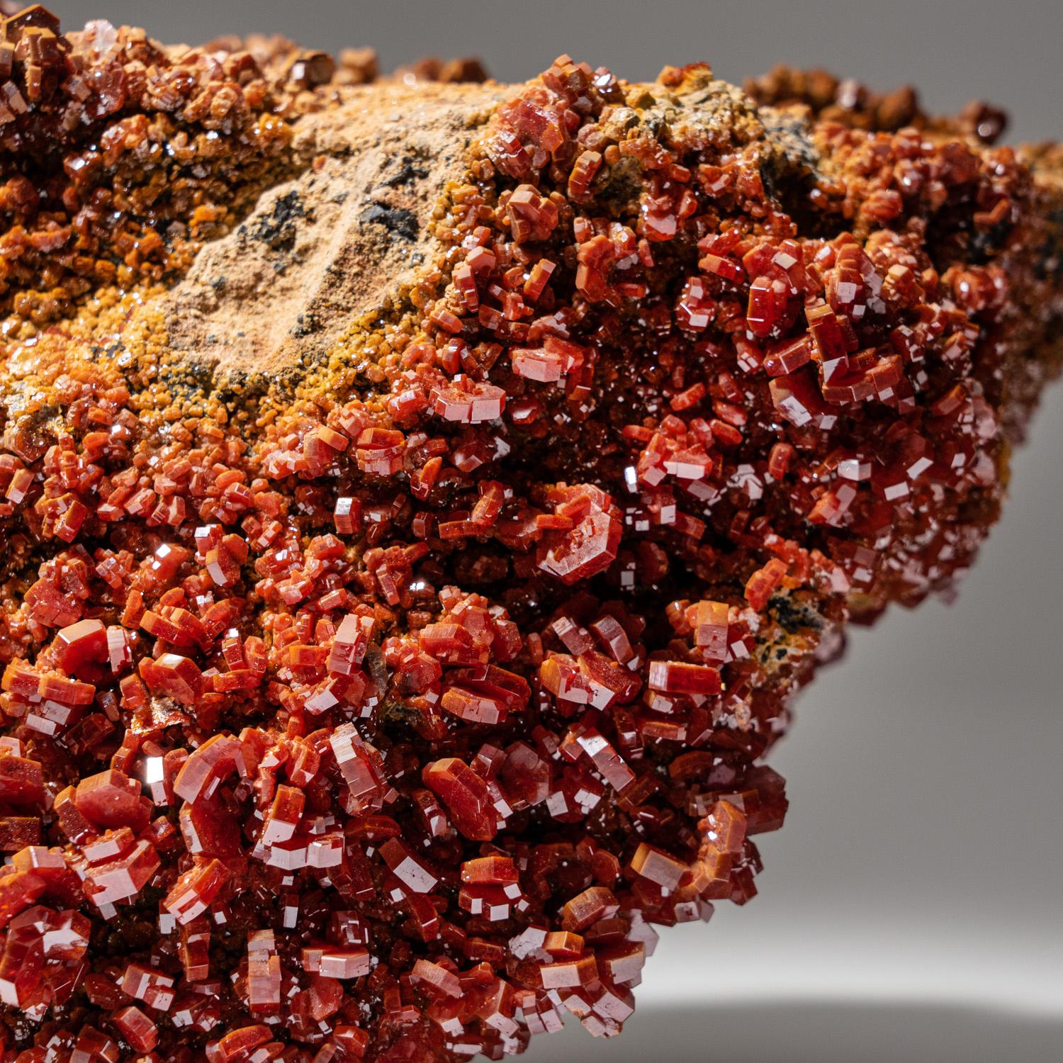 Vanadinite Crystal Cluster on Matrix from Mibladen, Atlas Mountains, Khénifra Pr For Sale 2