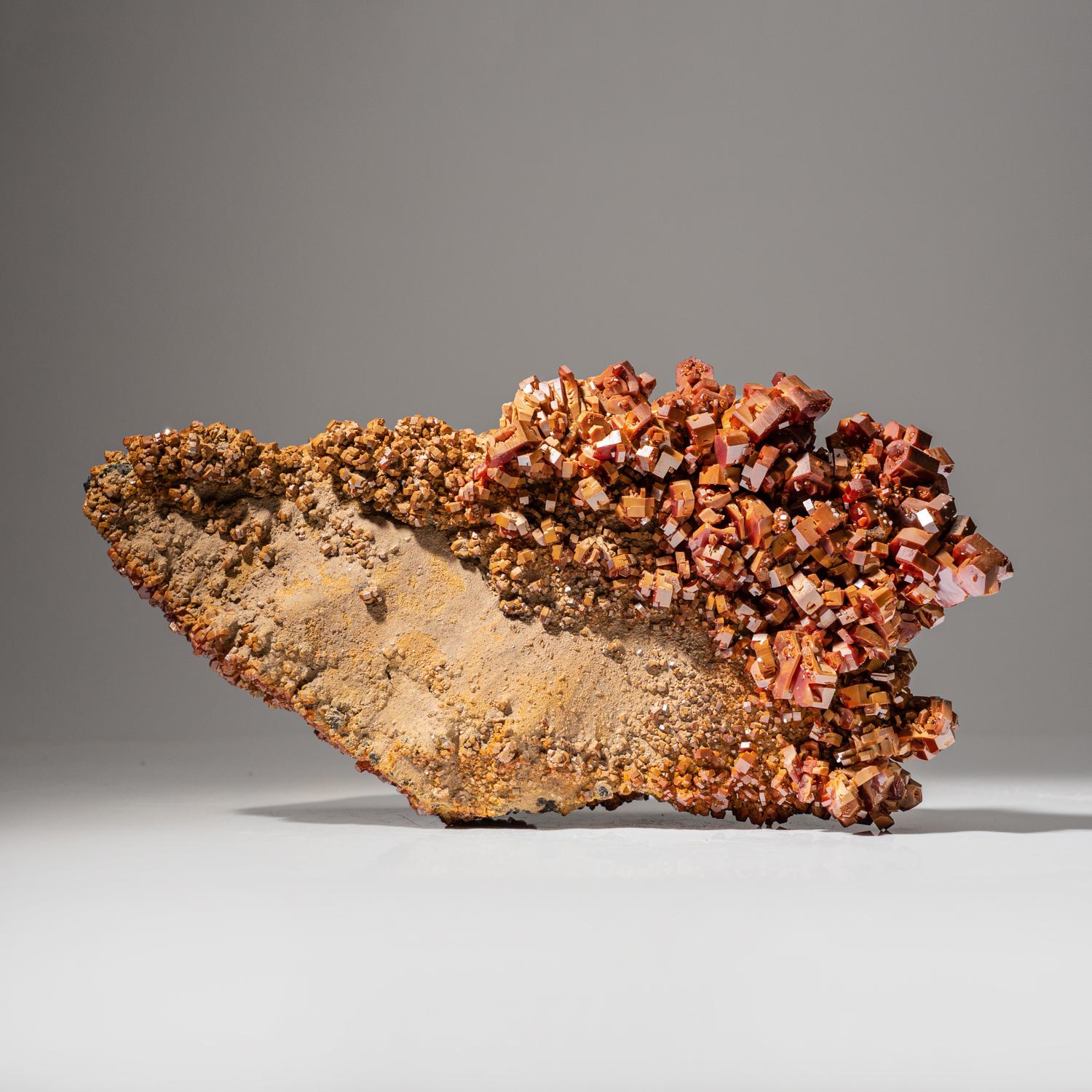 Vanadinite Crystal Cluster on Matrix from Mibladen, Atlas Mountains, Khénifra Pr For Sale 3