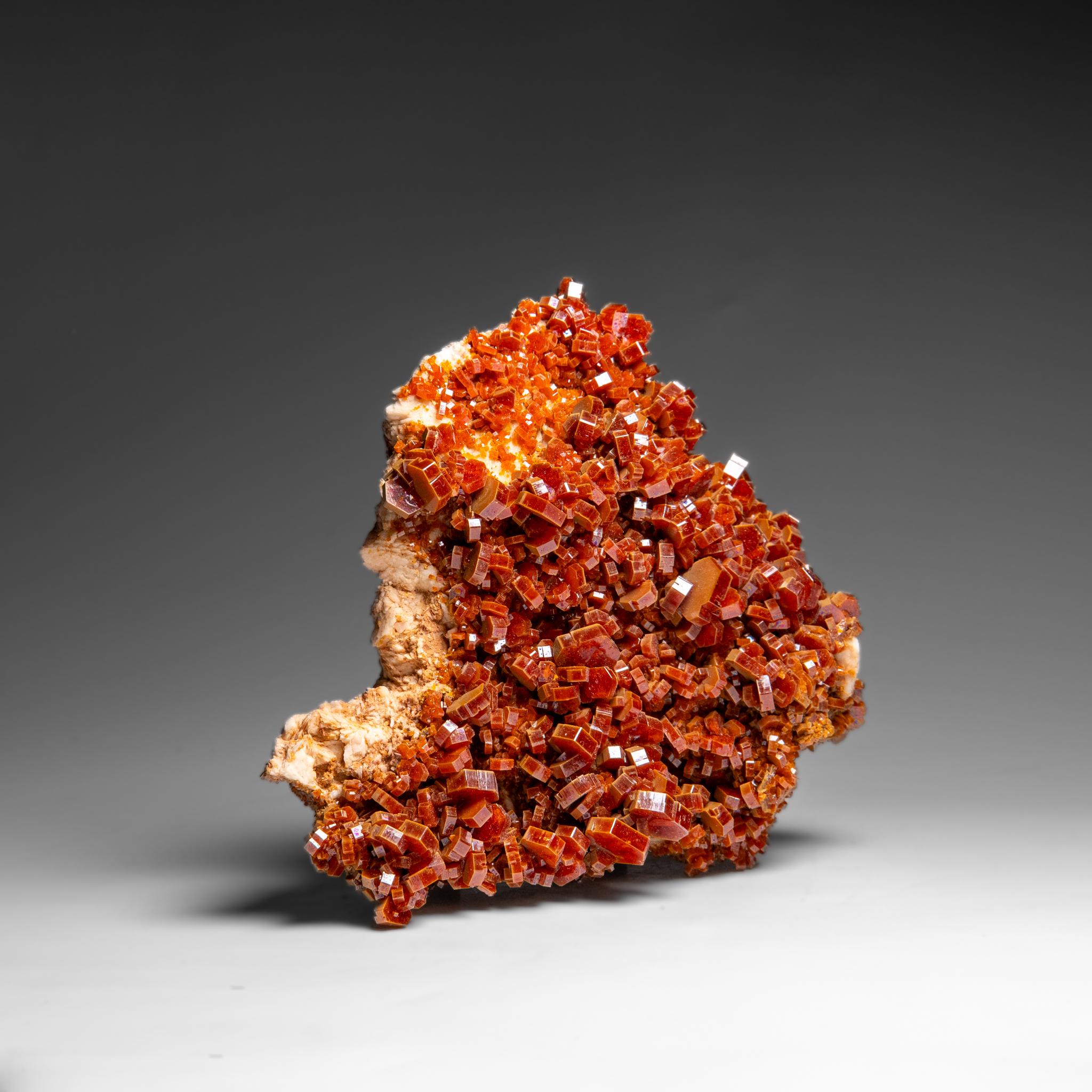Vanadinite Crystal Cluster on Matrix - From Mibladen, Atlas Mountains, Morocco in vendita 4