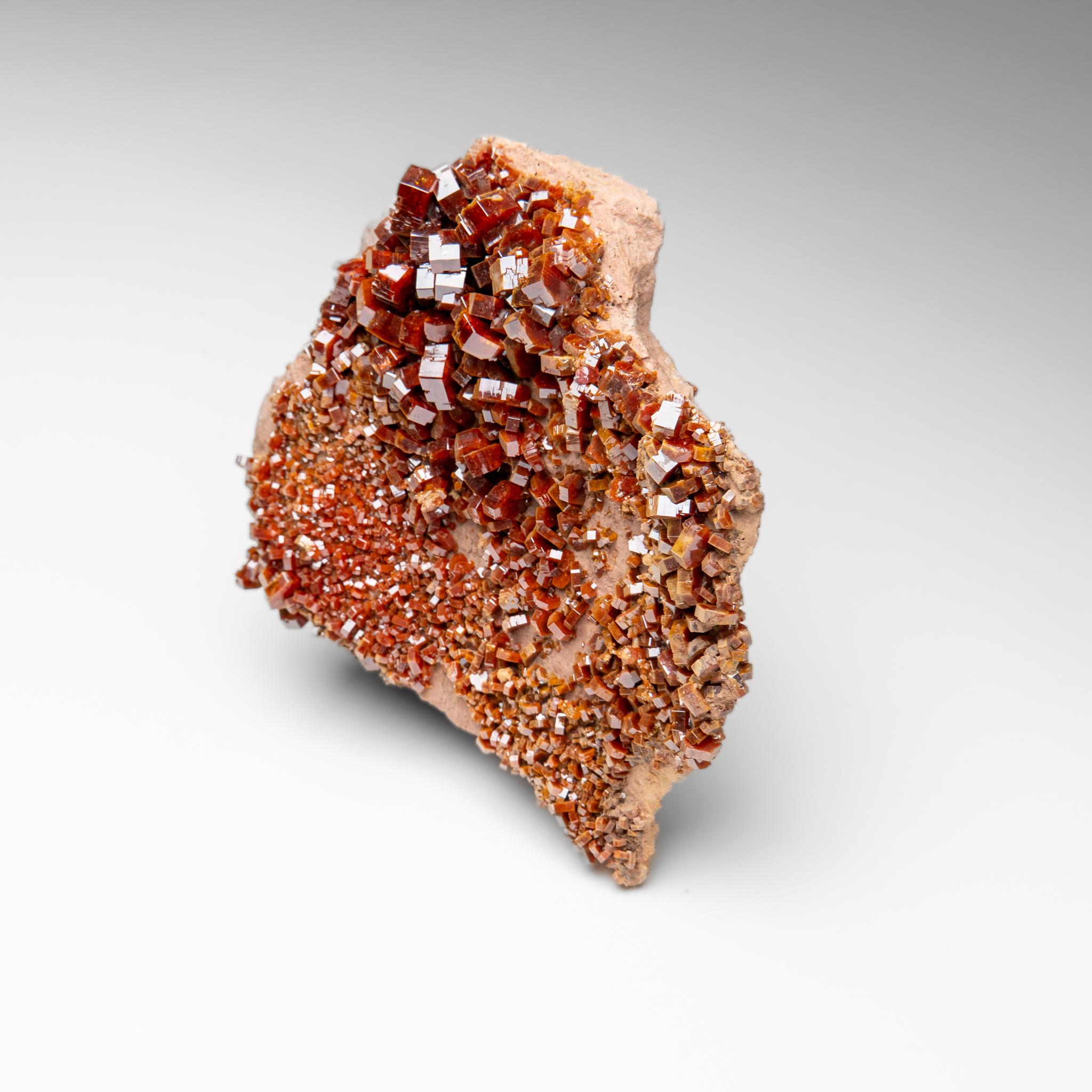 Vanadinite Crystal Cluster on Matrix - From Mibladen, Atlas Mountains, Morocco in vendita 4