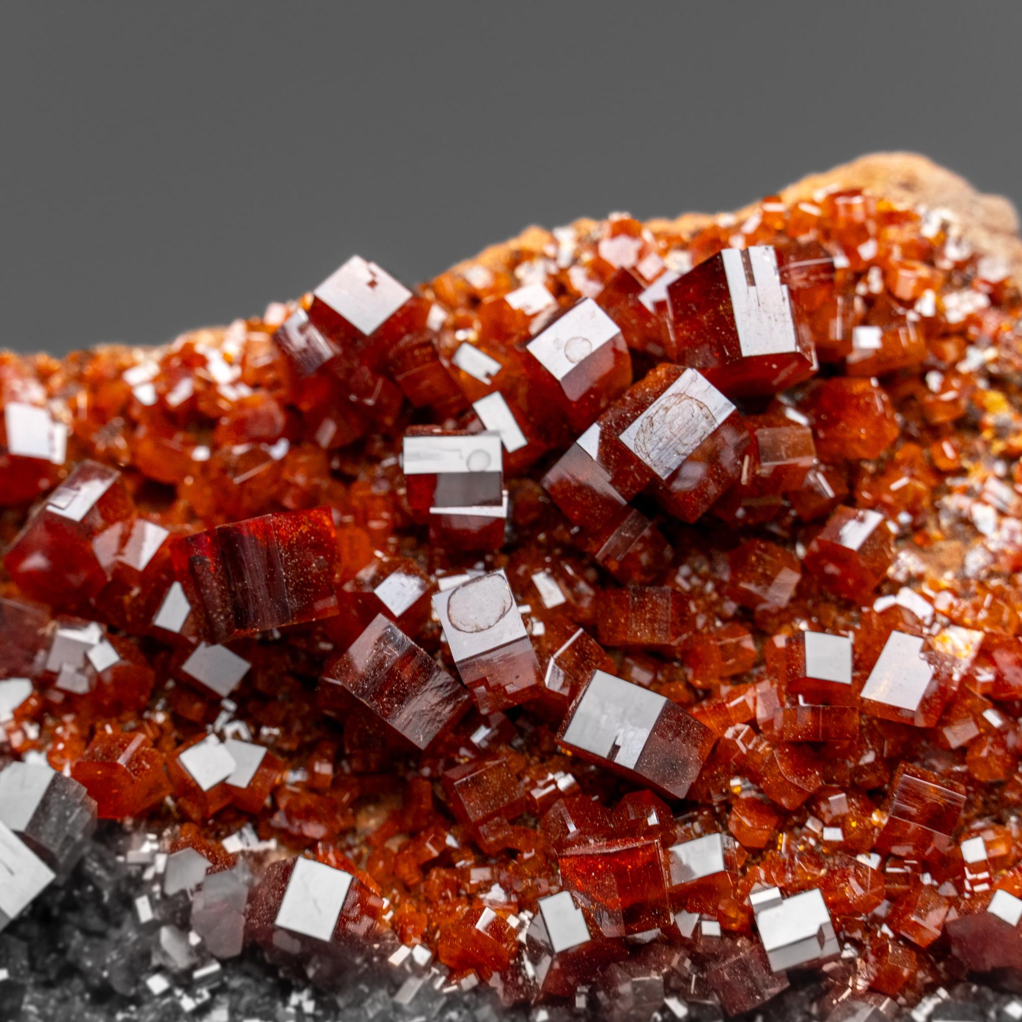 Vanadinite Crystal Cluster on Matrix - From Mibladen, Atlas Mountains, Morocco in vendita 4
