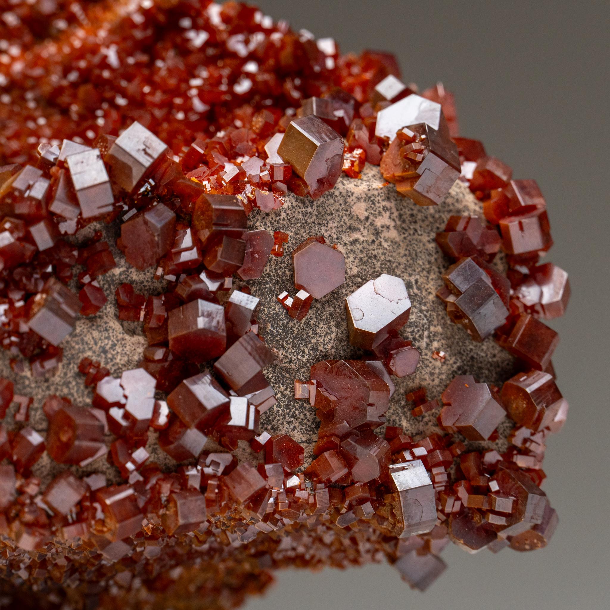 Vanadinite Crystal Cluster on Matrix - From Mibladen, Atlas Mountains, Morocco in vendita 4