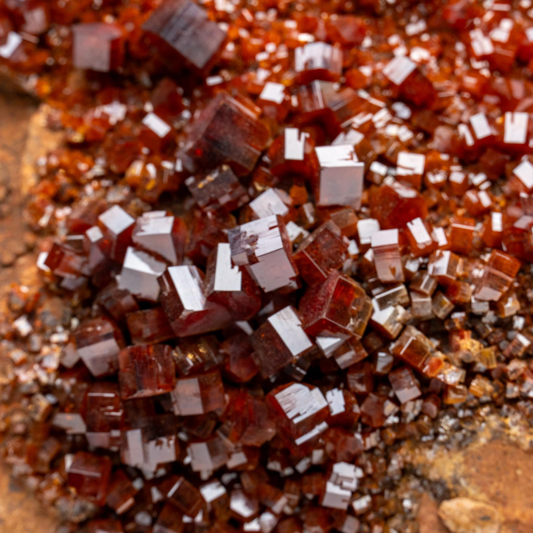 Vanadinite Crystal Cluster on Matrix - From Mibladen, Atlas Mountains, Morocco in vendita 5