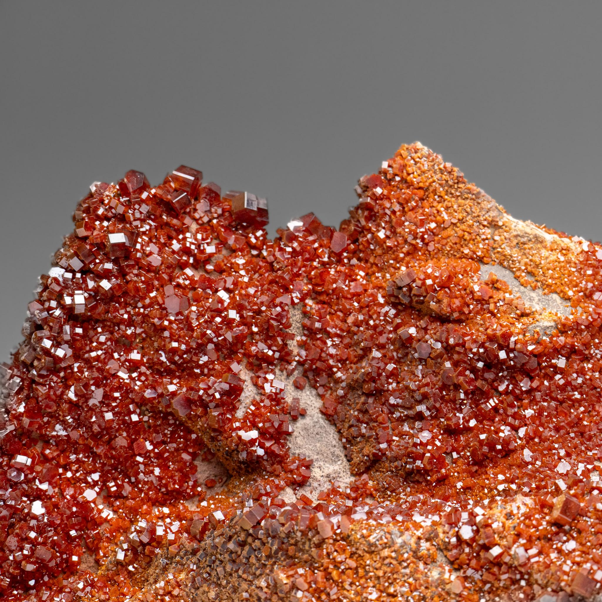 Vanadinite Crystal Cluster on Matrix - From Mibladen, Atlas Mountains, Morocco in vendita 5