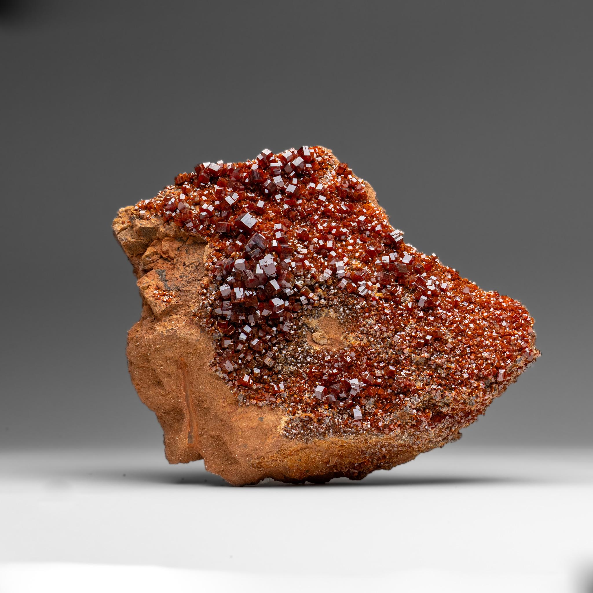 Vanadinite Crystal Cluster on Matrix - From Mibladen, Atlas Mountains, Morocco in vendita 6