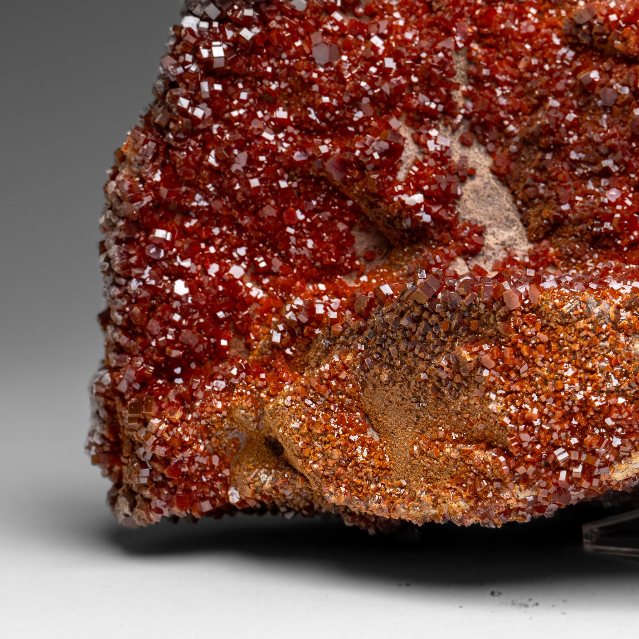 Vanadinite Crystal Cluster on Matrix - From Mibladen, Atlas Mountains, Morocco in vendita 6