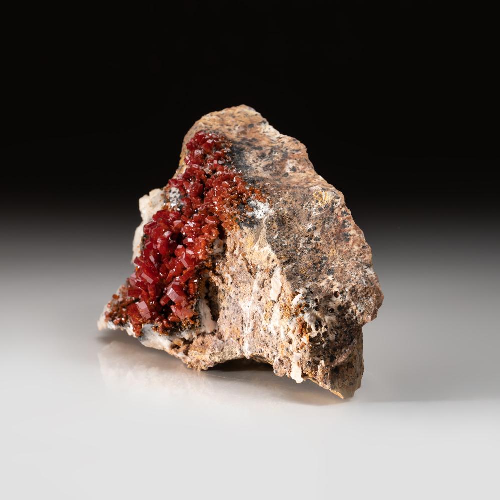De Mibladen, montagnes de l'Atlas, province de Khénifra, Maroc 

Voici un spécimen exceptionnel de classe mondiale d'un groupe de cristaux hexagonaux de vanadinites rouge vif avec un éclat vitreux sur une matrice de barytine. Grands cristaux bien