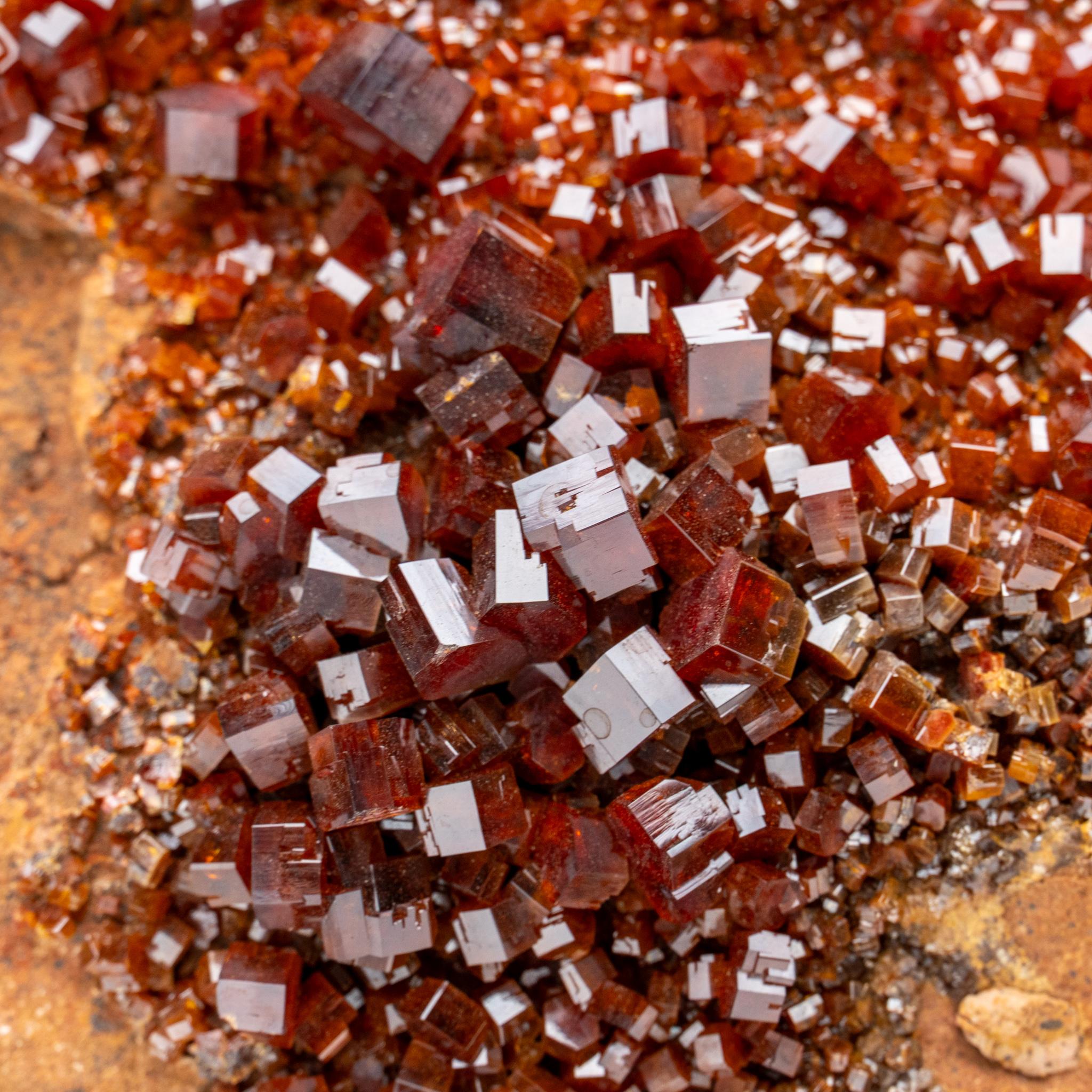 Da Mibladen, montagne dell'Atlante, provincia di Khénifra, Marocco.

 Ecco un eccezionale esemplare di classe mondiale di un gruppo di cristalli esagonali di vanadinite rosso brillante con lucentezza vitrea su matrice. Grandi cristalli ben definiti