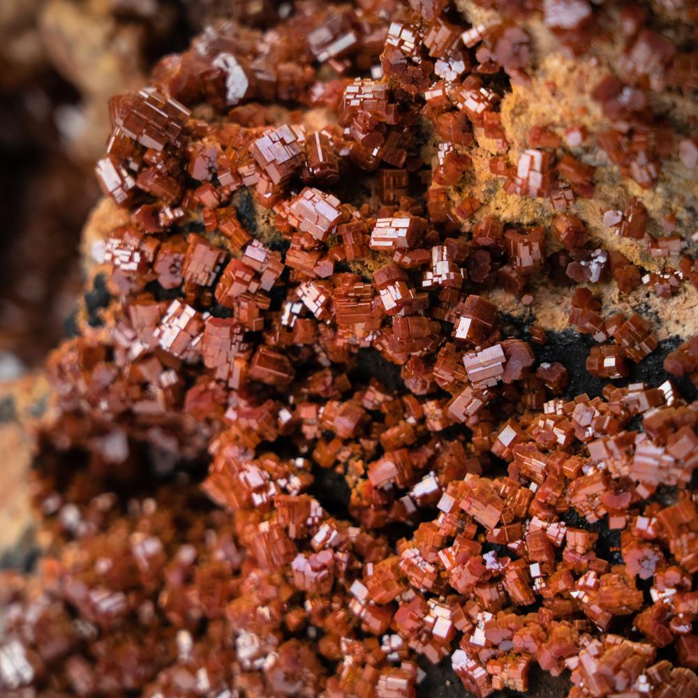 Marocain Cluster de cristaux Vanadinite sur matrice - De Mibladen, montagnes de l'Atlas, Maroc en vente
