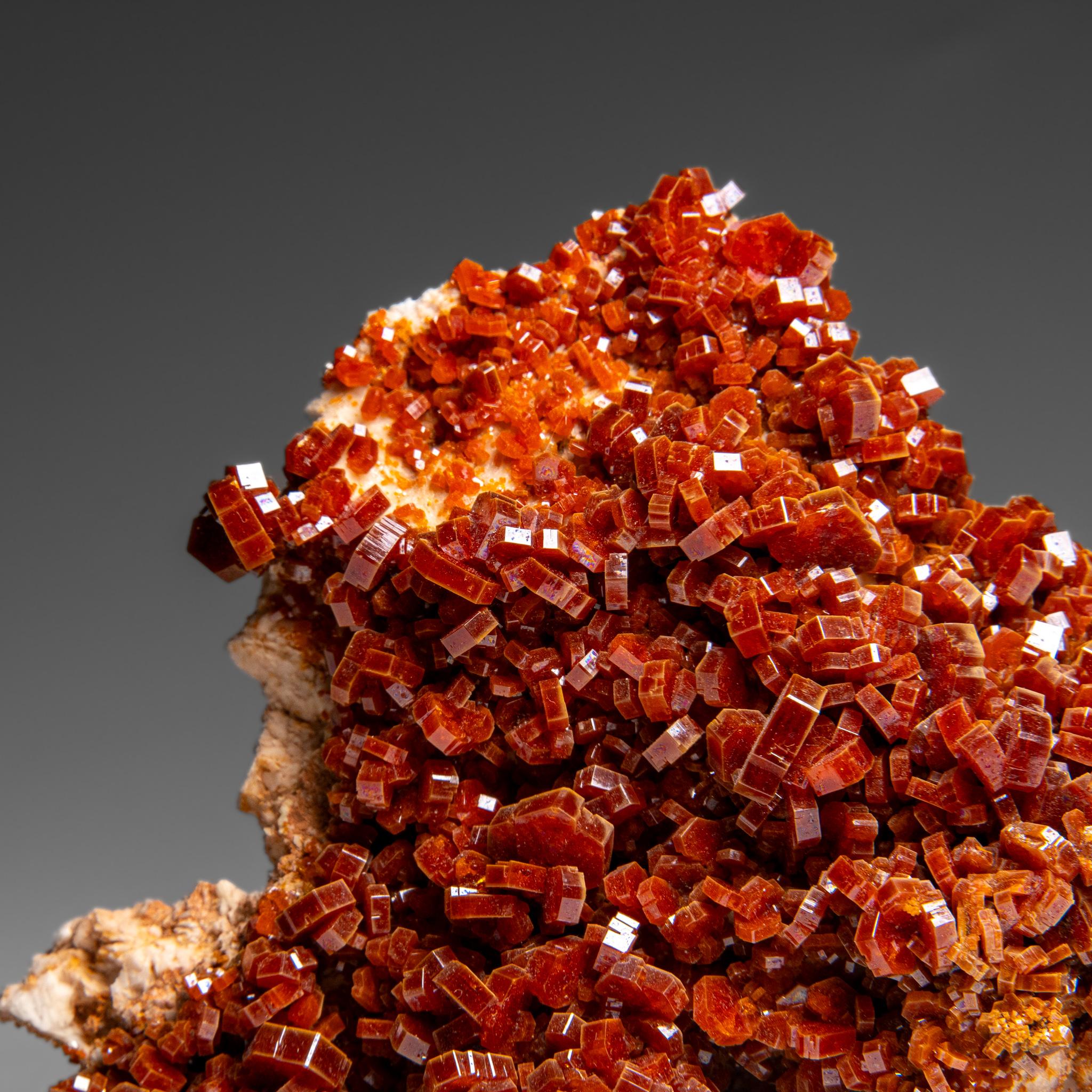 Marocchino Vanadinite Crystal Cluster on Matrix - From Mibladen, Atlas Mountains, Morocco in vendita