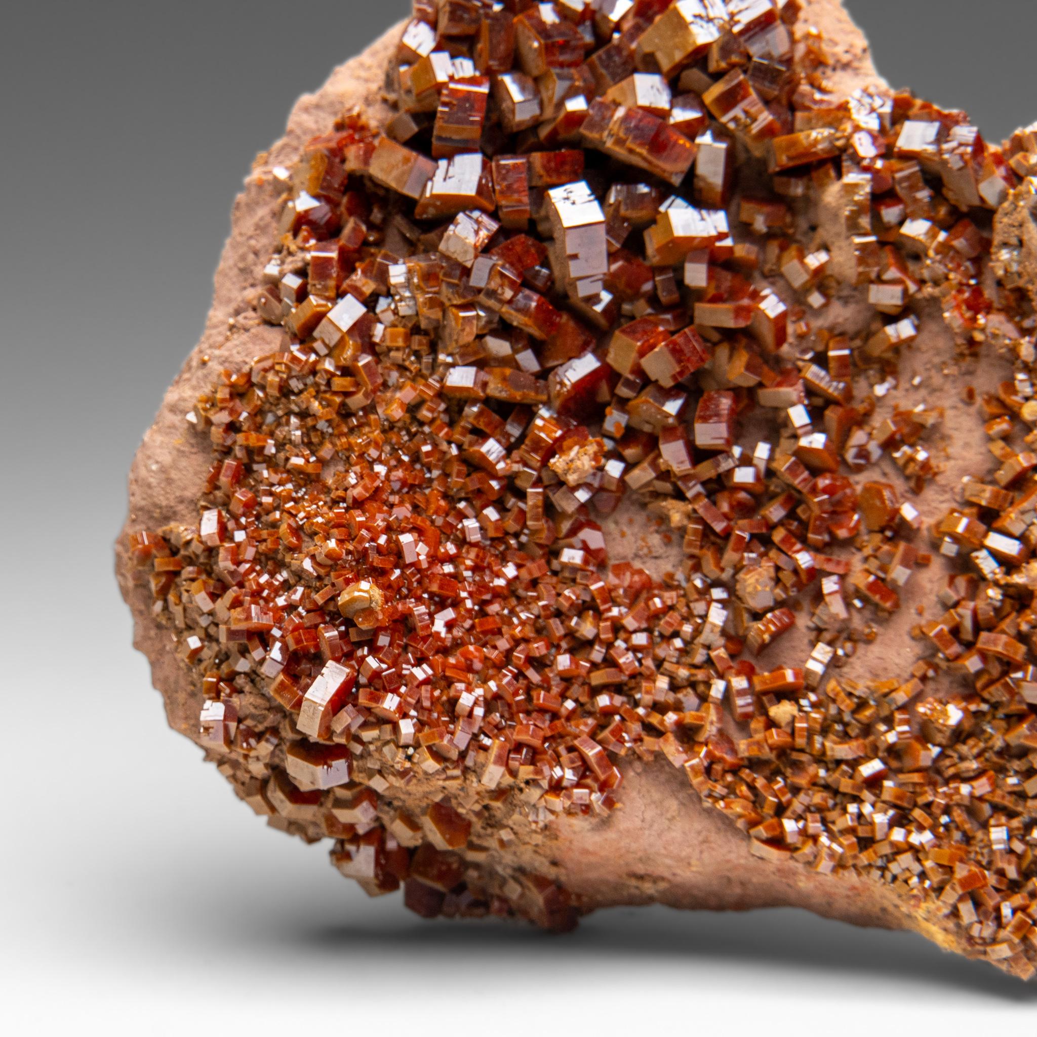 Marocchino Vanadinite Crystal Cluster on Matrix - From Mibladen, Atlas Mountains, Morocco in vendita