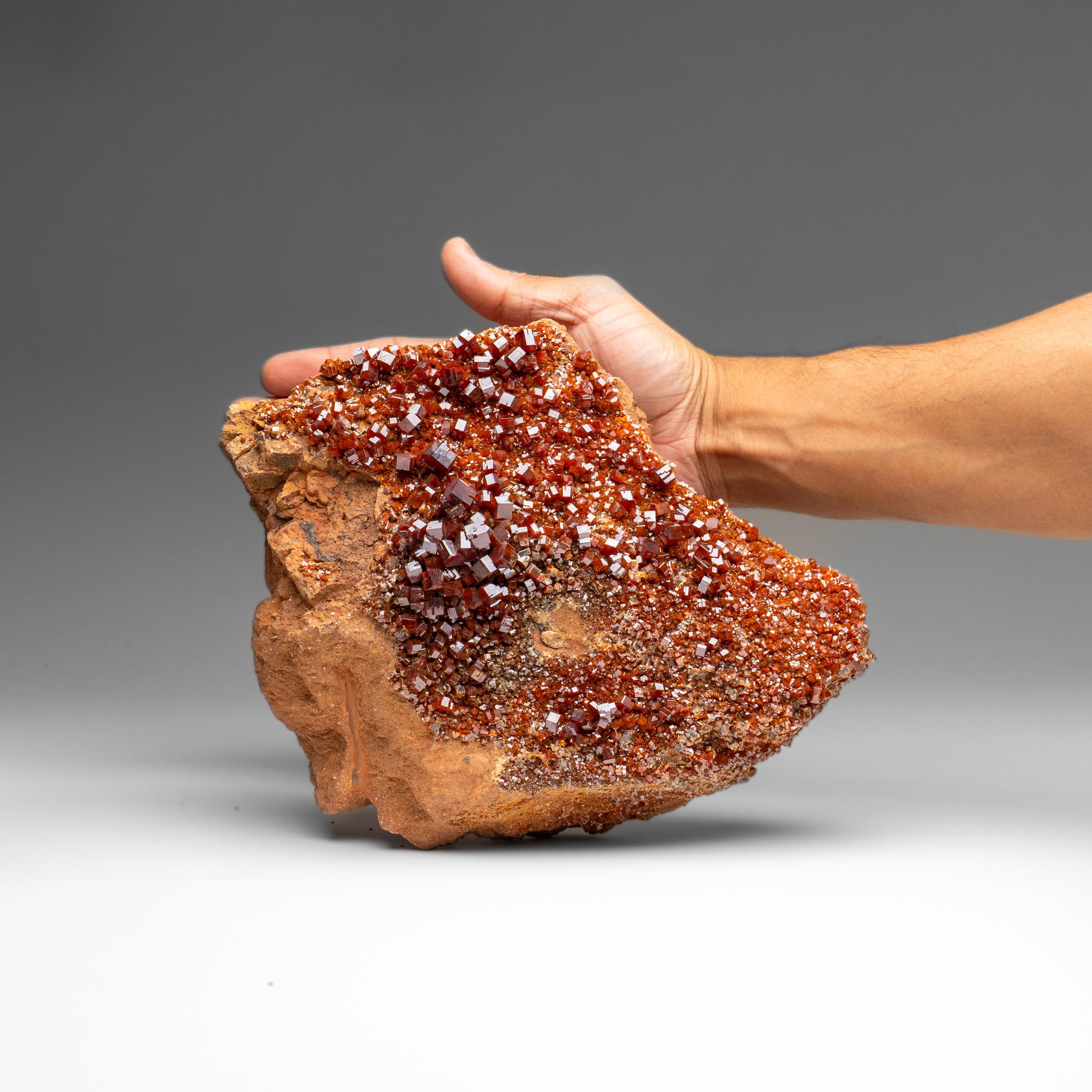 Marocchino Vanadinite Crystal Cluster on Matrix - From Mibladen, Atlas Mountains, Morocco in vendita