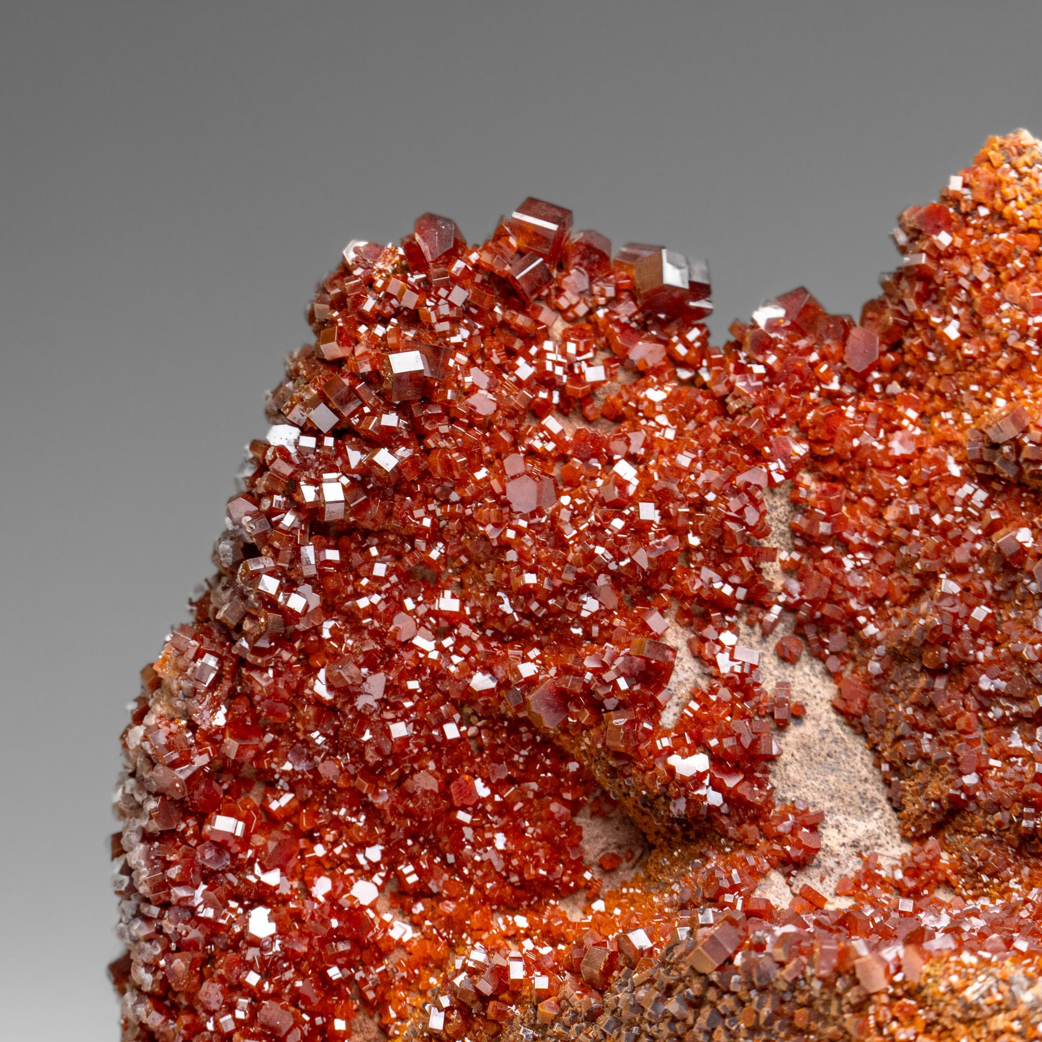 Marocchino Vanadinite Crystal Cluster on Matrix - From Mibladen, Atlas Mountains, Morocco in vendita