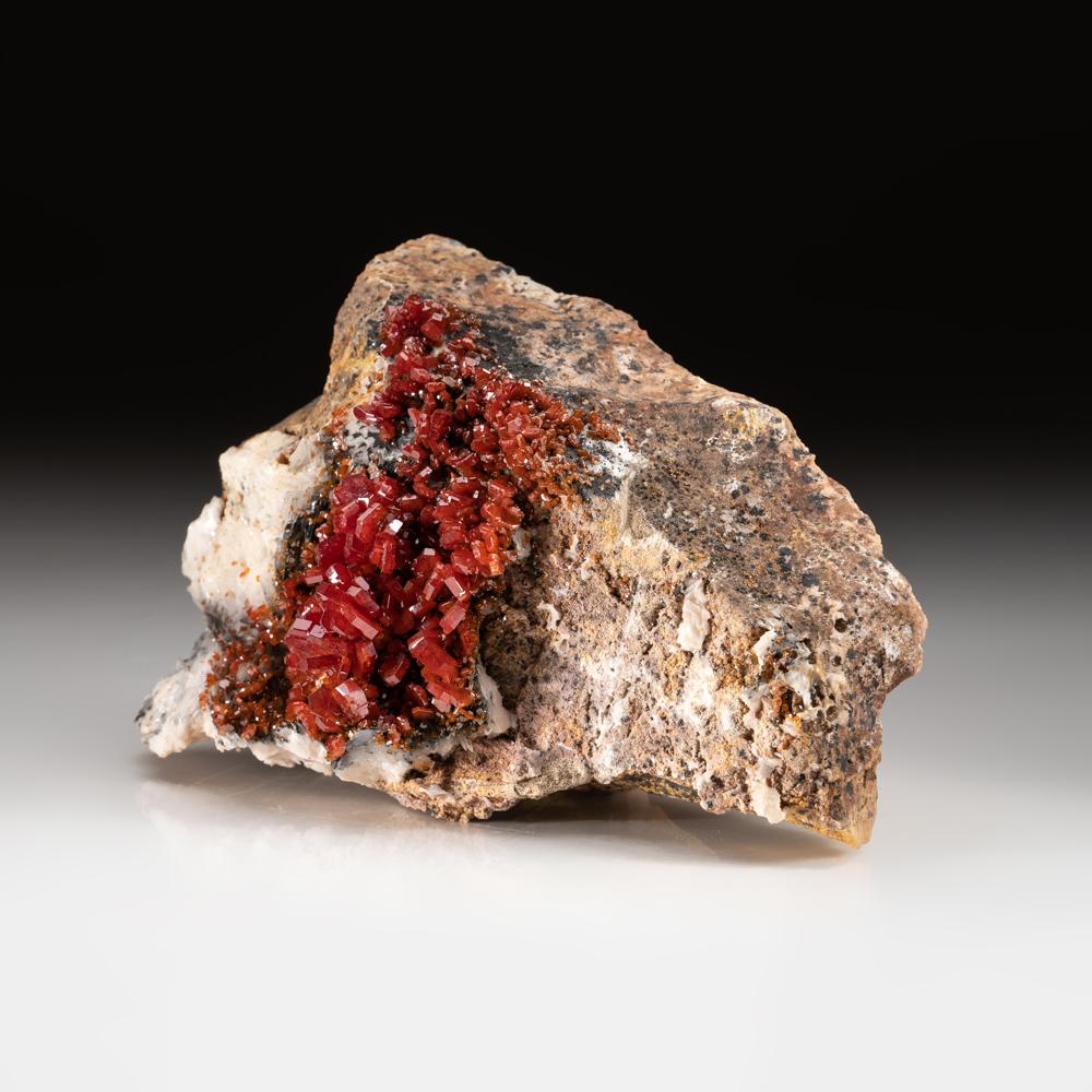 Vanadinite Crystal Cluster on Matrix - From Mibladen, Atlas Mountains, Morocco In New Condition For Sale In New York, NY