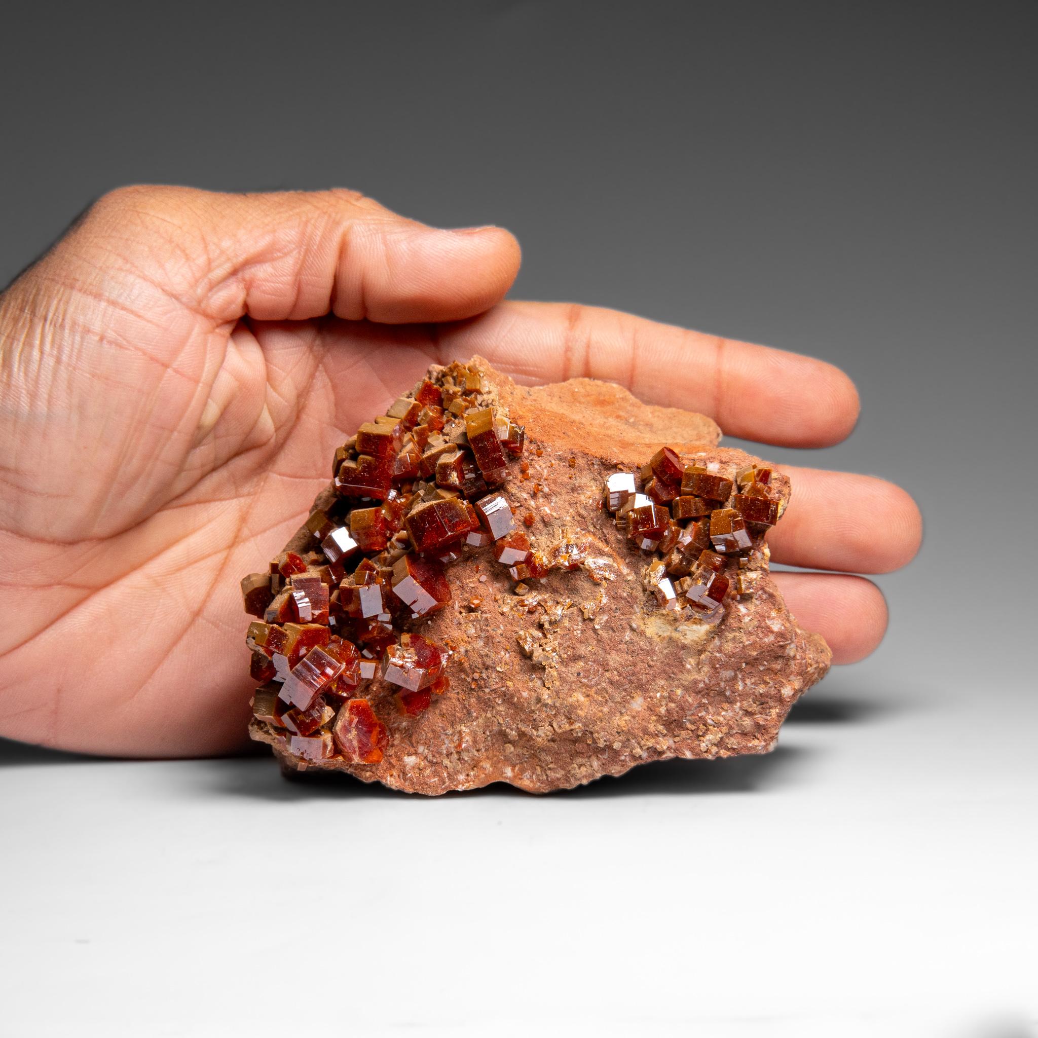 Vanadinite Crystal Cluster on Matrix - From Mibladen, Atlas Mountains, Morocco In condizioni Nuovo in vendita a New York, NY