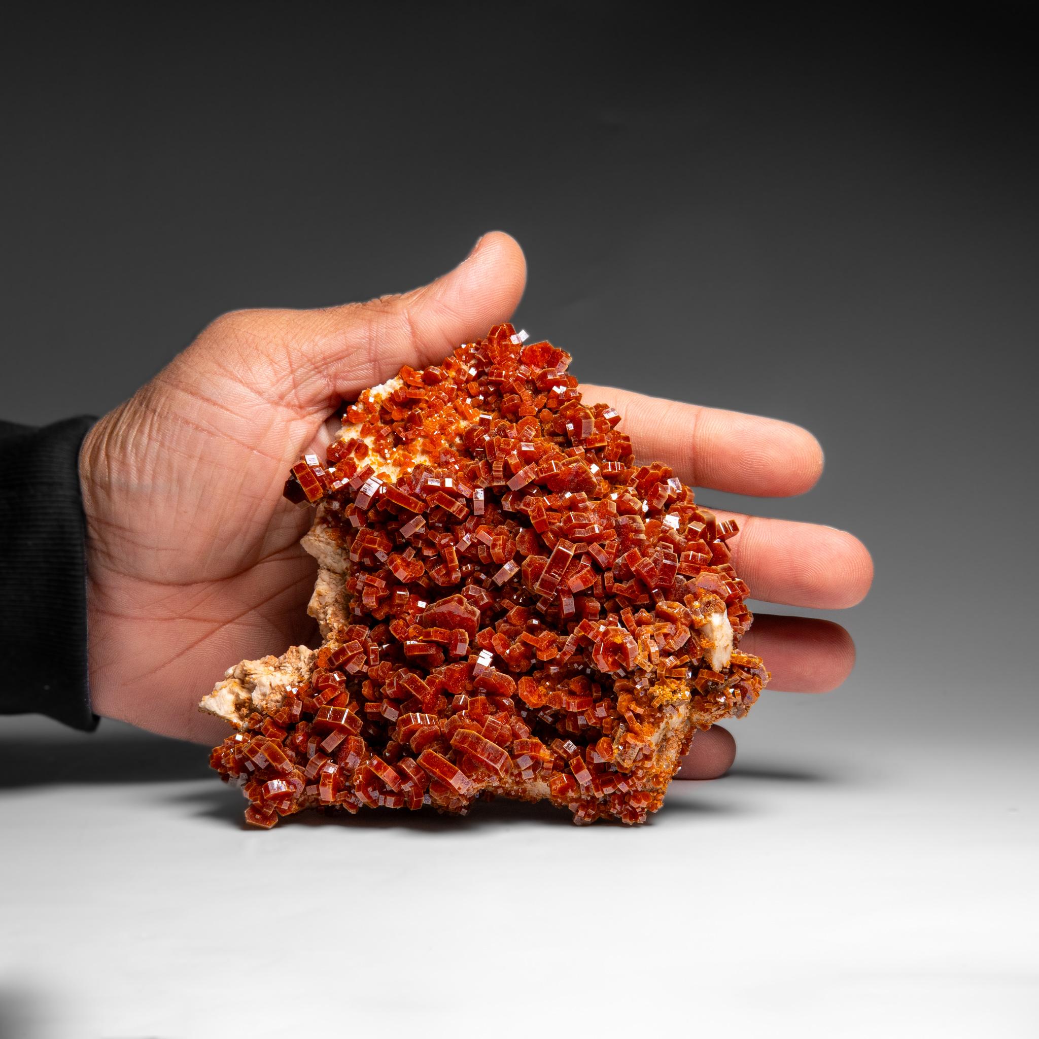 Vanadinite Crystal Cluster on Matrix - From Mibladen, Atlas Mountains, Morocco In condizioni Nuovo in vendita a New York, NY