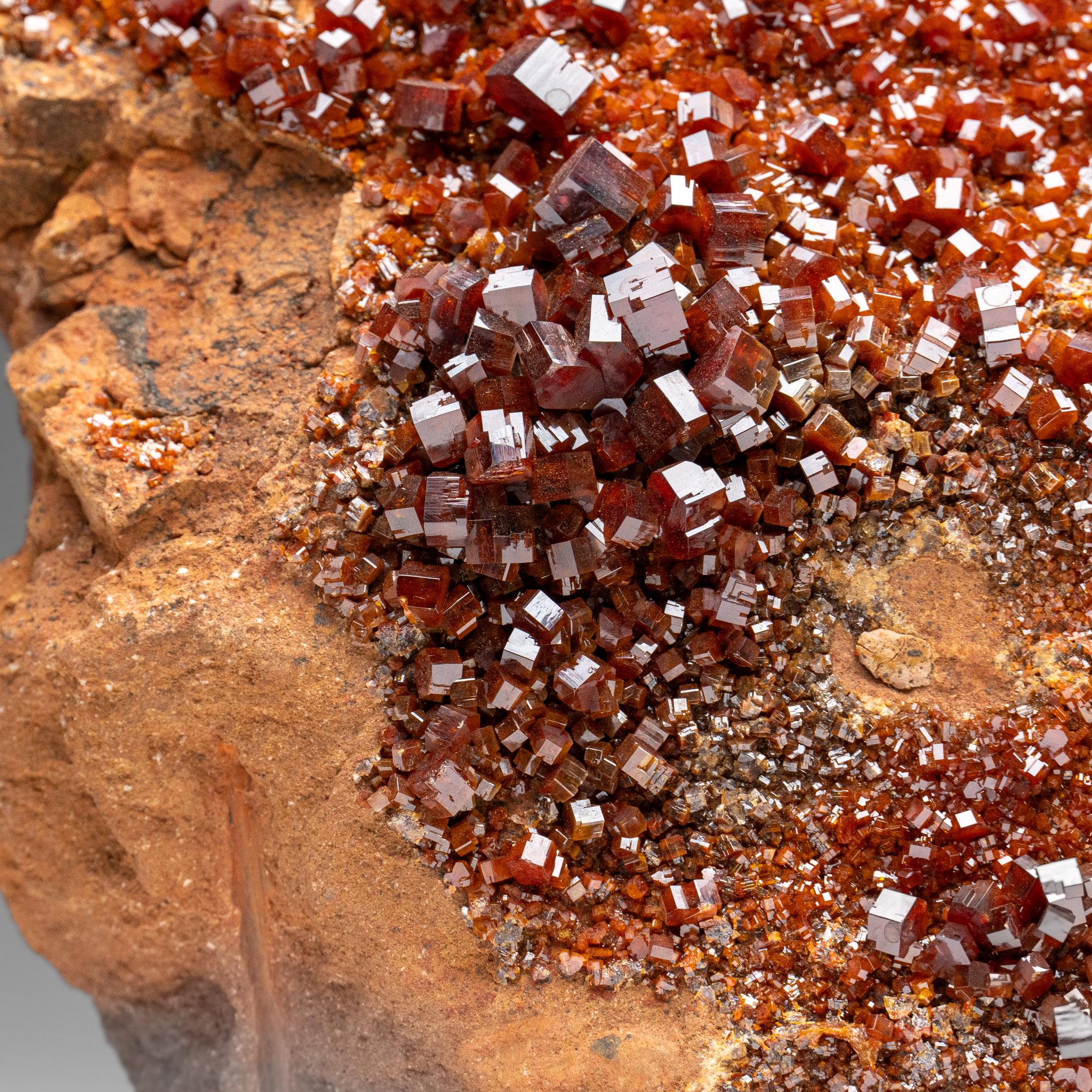 Vanadinite Crystal Cluster on Matrix - From Mibladen, Atlas Mountains, Morocco In condizioni Nuovo in vendita a New York, NY