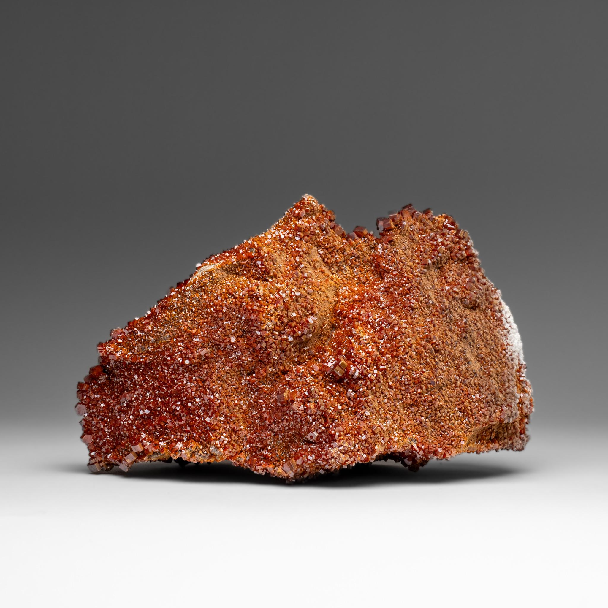 Vanadinite Crystal Cluster on Matrix - From Mibladen, Atlas Mountains, Morocco In condizioni Nuovo in vendita a New York, NY