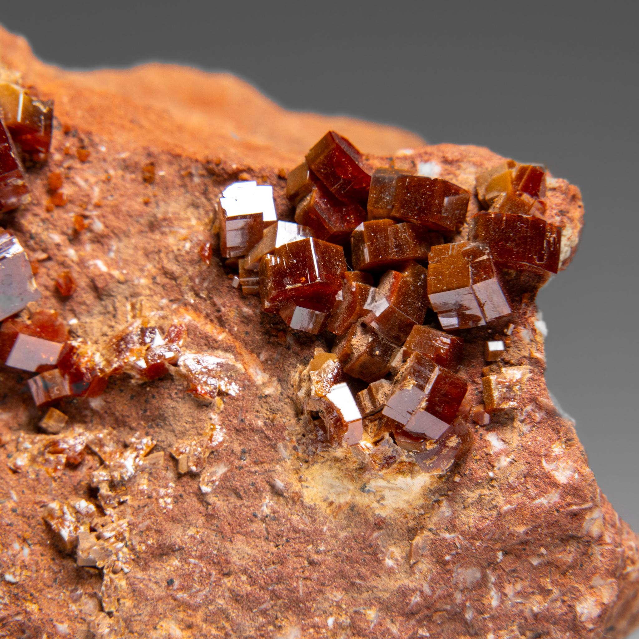 XXI secolo e contemporaneo Vanadinite Crystal Cluster on Matrix - From Mibladen, Atlas Mountains, Morocco in vendita