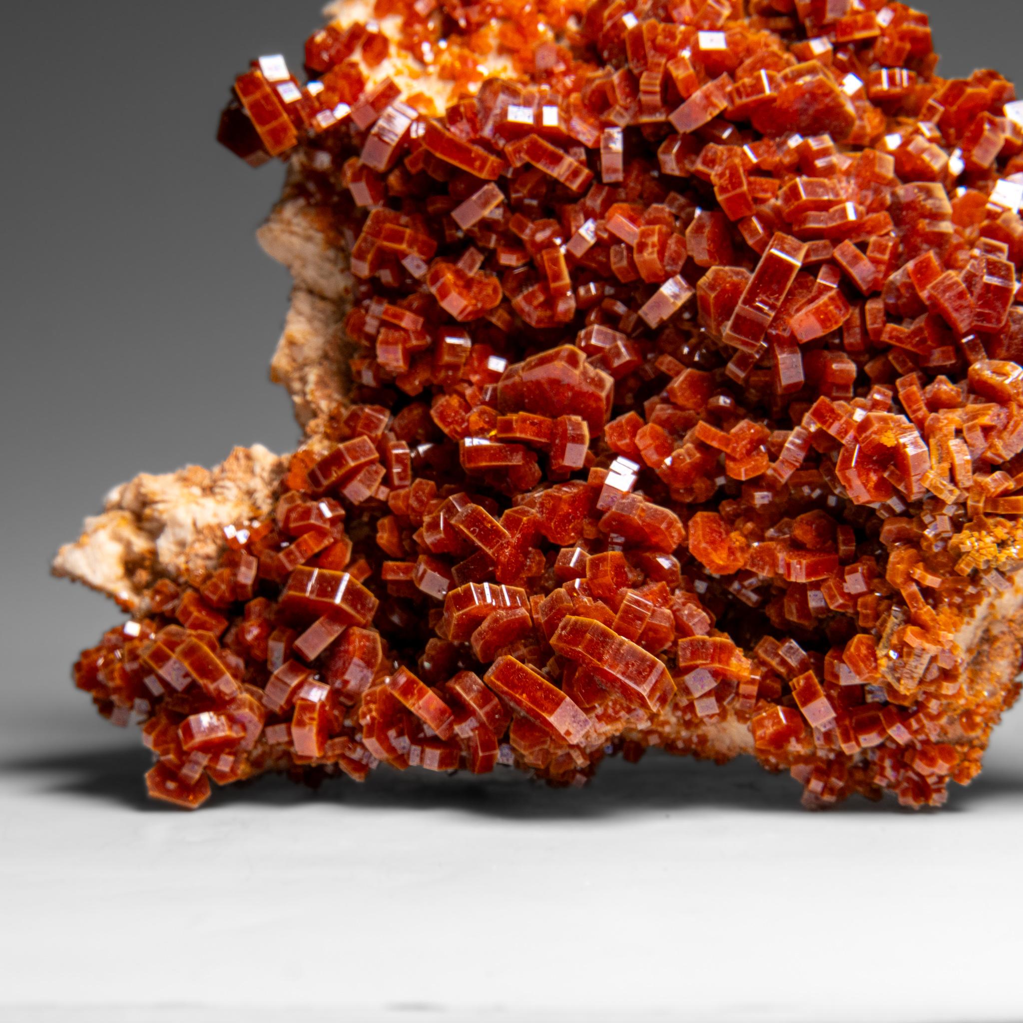 XXI secolo e contemporaneo Vanadinite Crystal Cluster on Matrix - From Mibladen, Atlas Mountains, Morocco in vendita