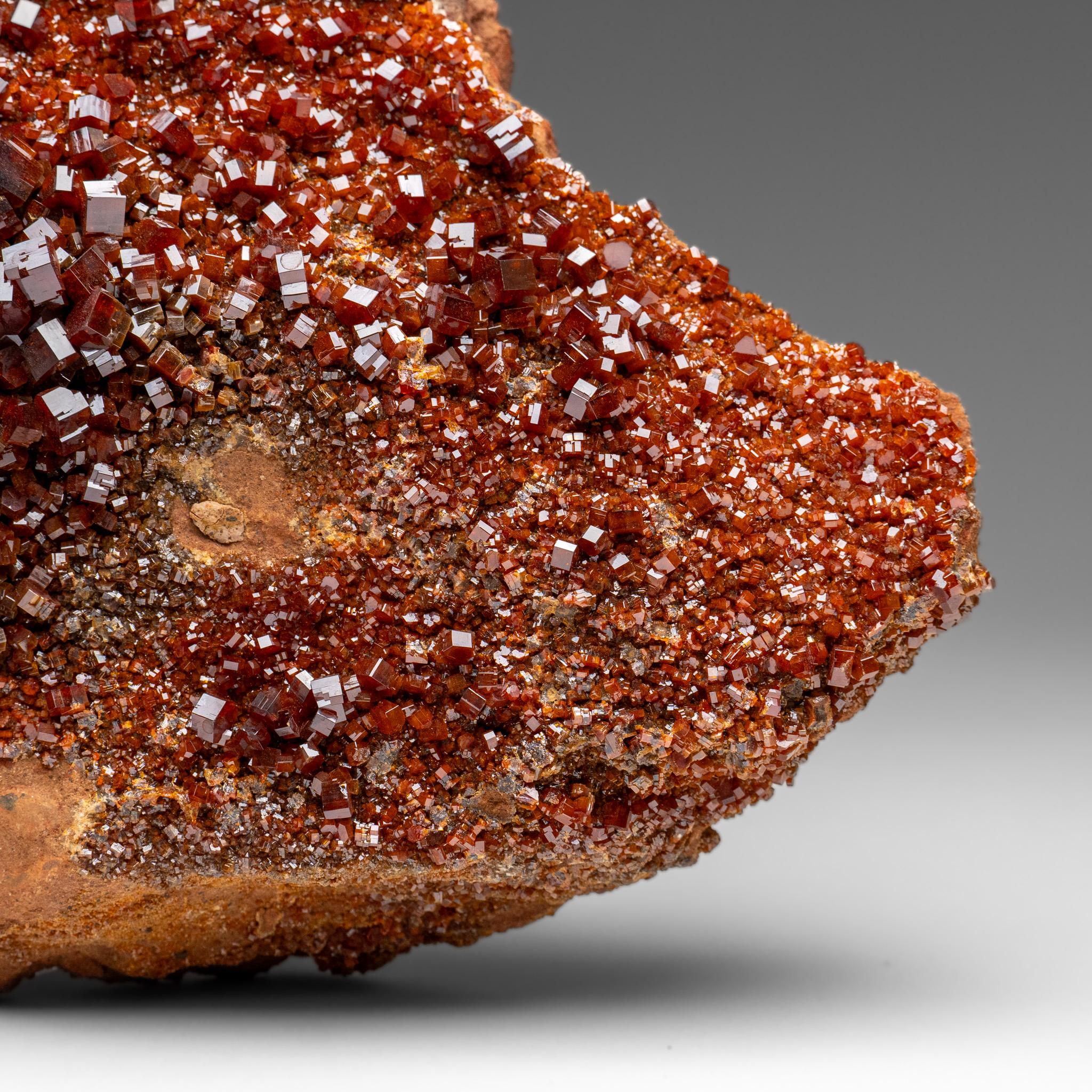 XXI secolo e contemporaneo Vanadinite Crystal Cluster on Matrix - From Mibladen, Atlas Mountains, Morocco in vendita