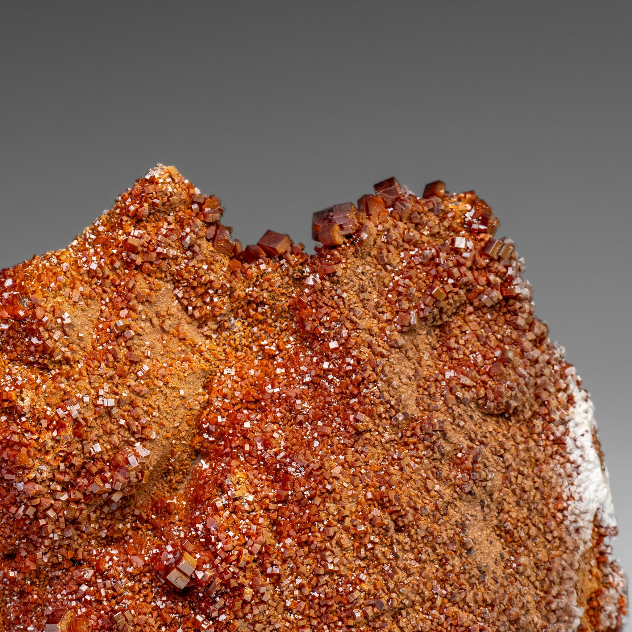 XXI secolo e contemporaneo Vanadinite Crystal Cluster on Matrix - From Mibladen, Atlas Mountains, Morocco in vendita