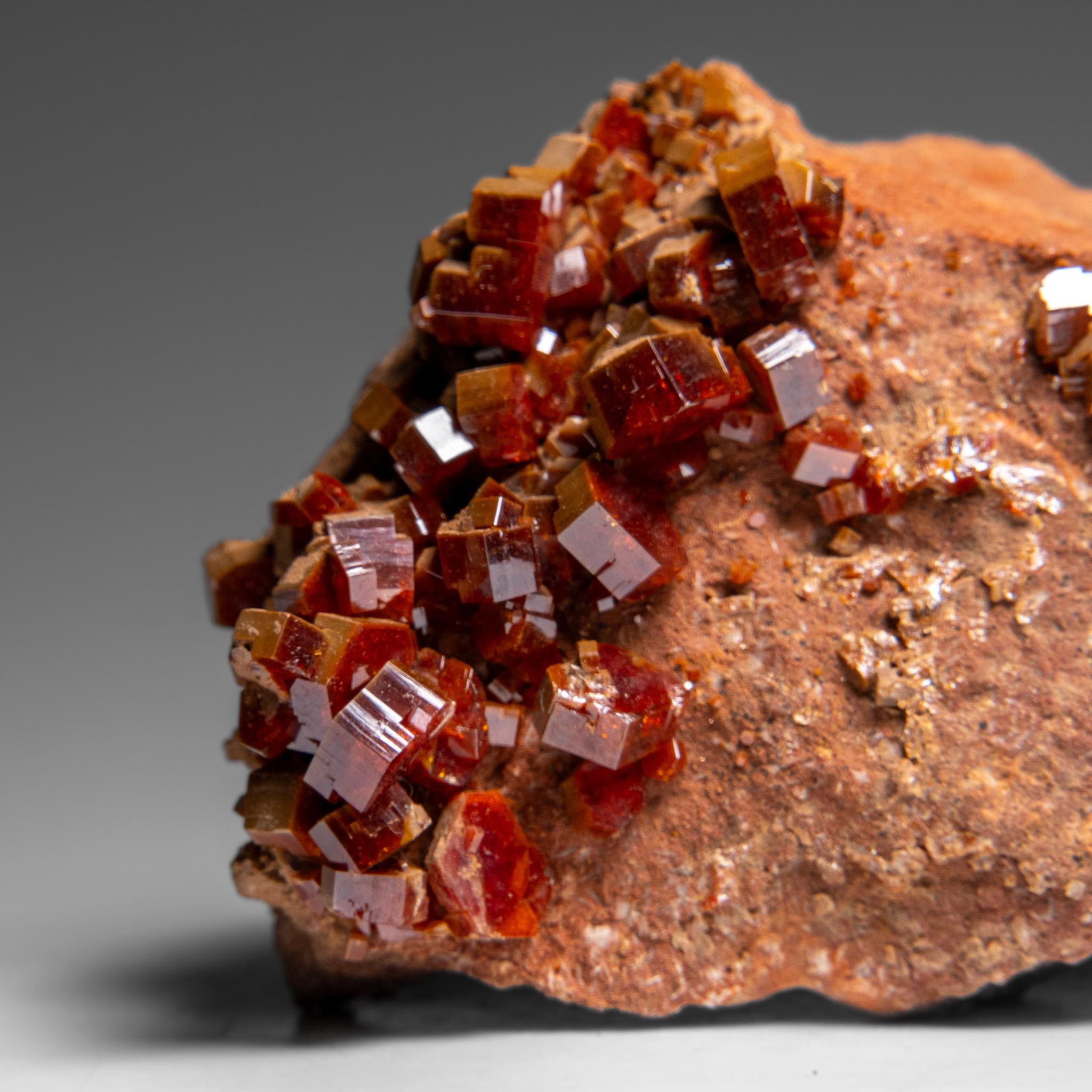 Altro Vanadinite Crystal Cluster on Matrix - From Mibladen, Atlas Mountains, Morocco in vendita