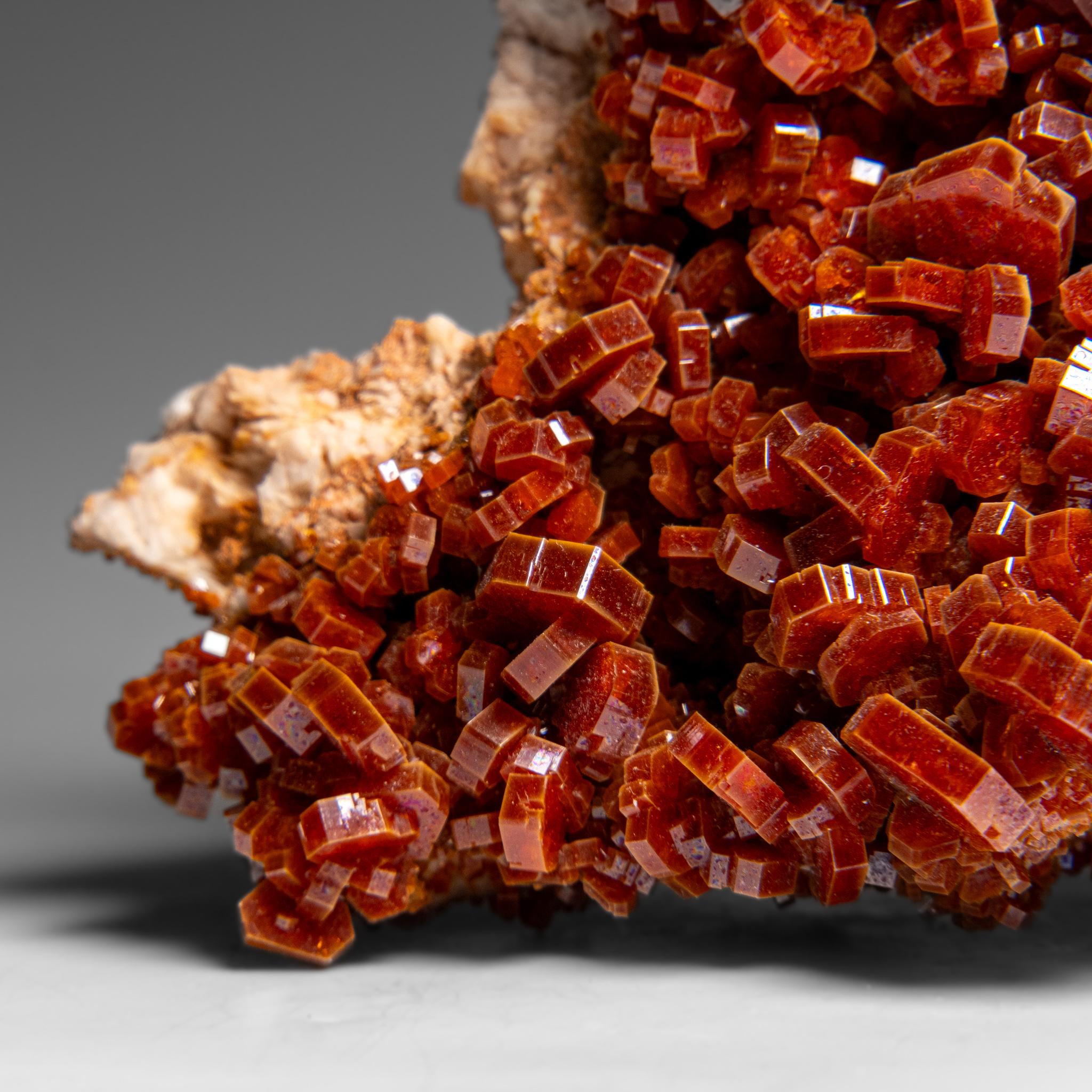 Altro Vanadinite Crystal Cluster on Matrix - From Mibladen, Atlas Mountains, Morocco in vendita