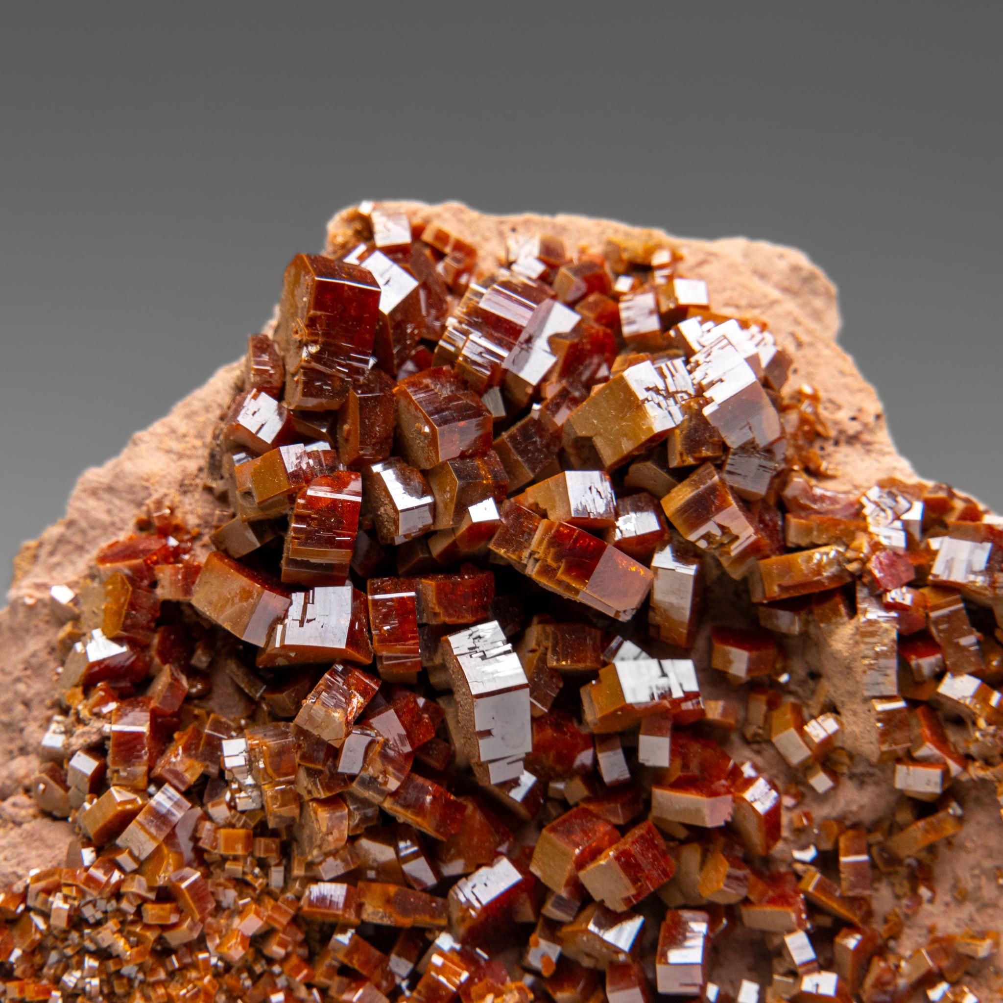 Altro Vanadinite Crystal Cluster on Matrix - From Mibladen, Atlas Mountains, Morocco in vendita