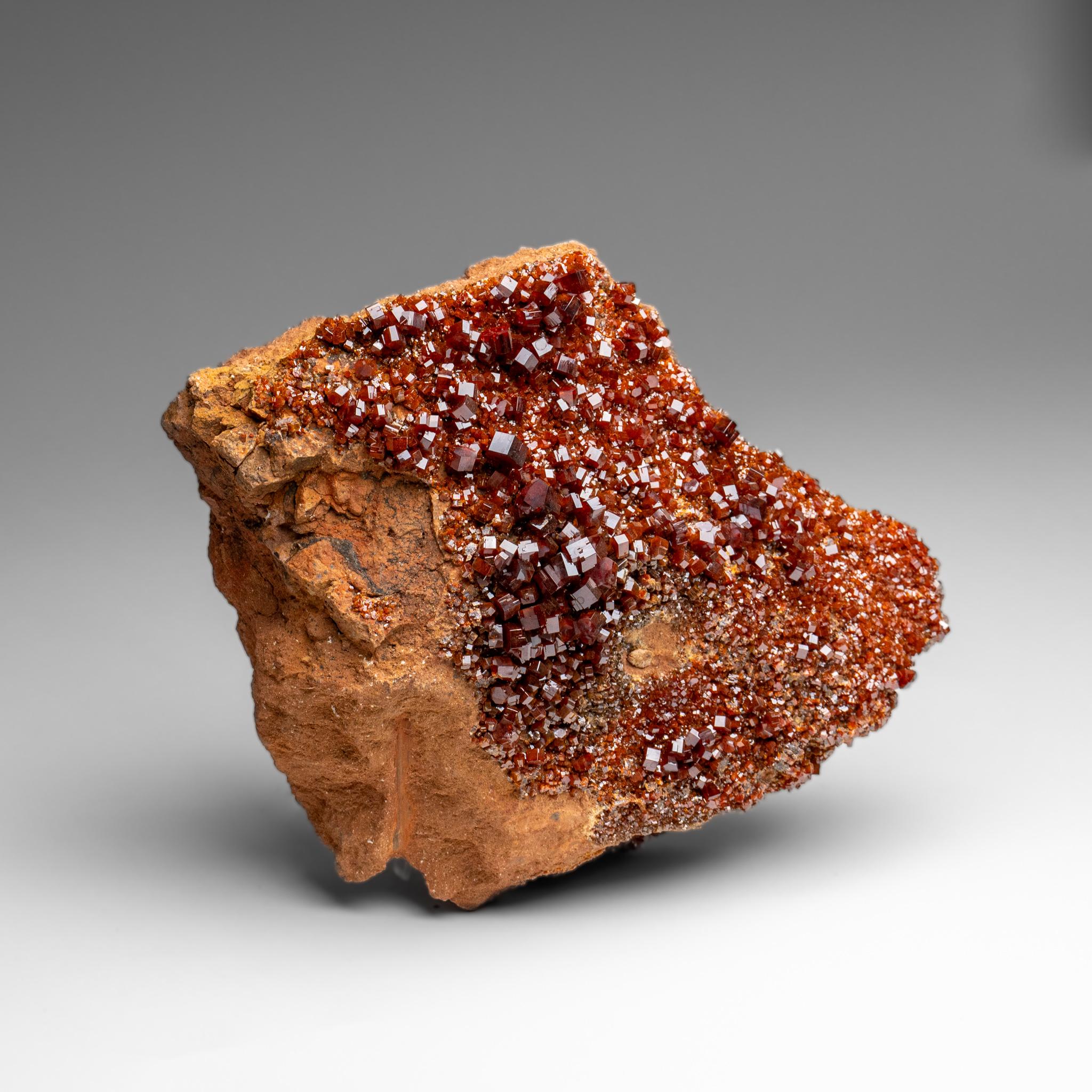 Altro Vanadinite Crystal Cluster on Matrix - From Mibladen, Atlas Mountains, Morocco in vendita