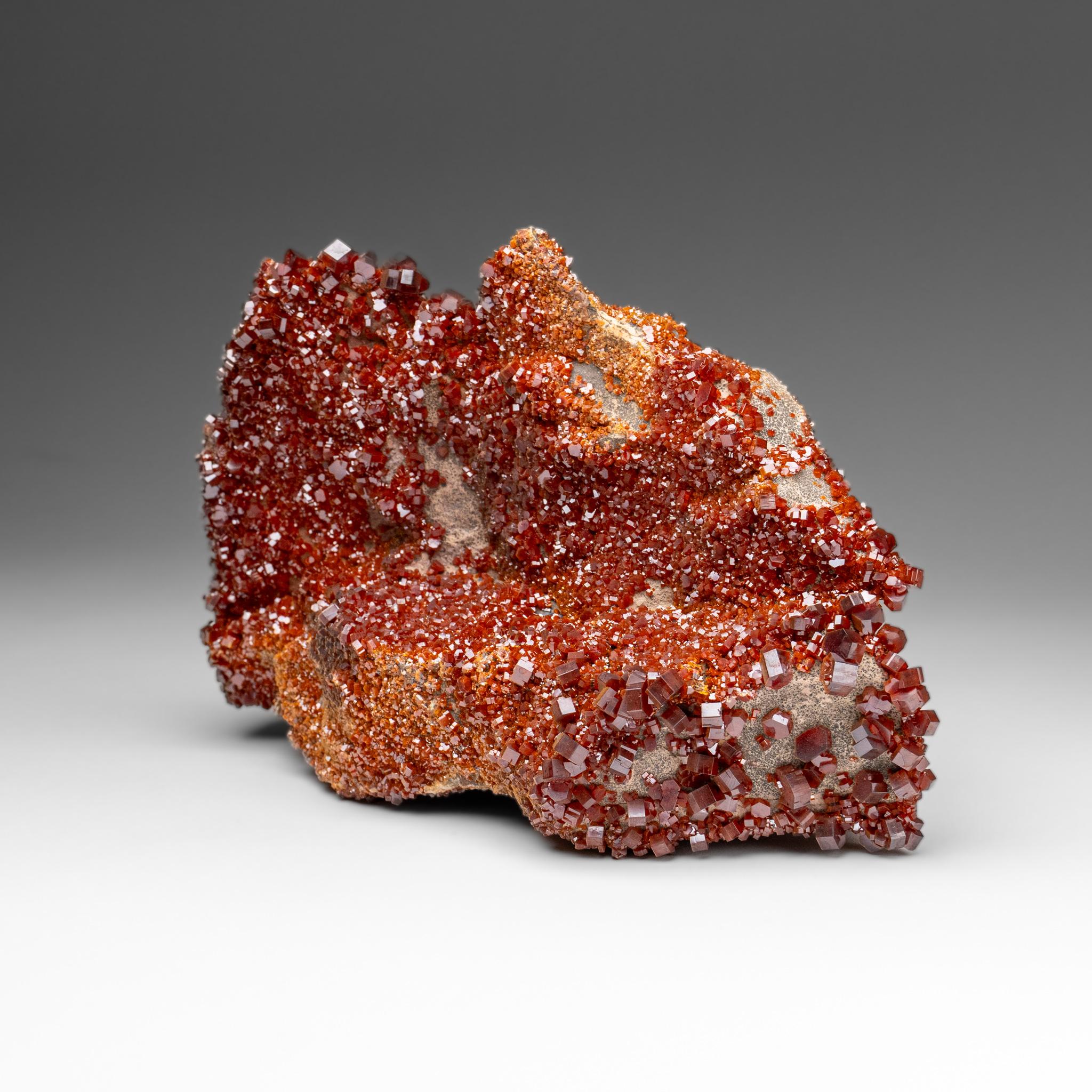 Altro Vanadinite Crystal Cluster on Matrix - From Mibladen, Atlas Mountains, Morocco in vendita