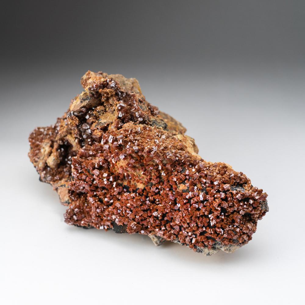 Vanadinite Crystal Cluster on Matrix - From Mibladen, Atlas Mountains, Morocco For Sale 1