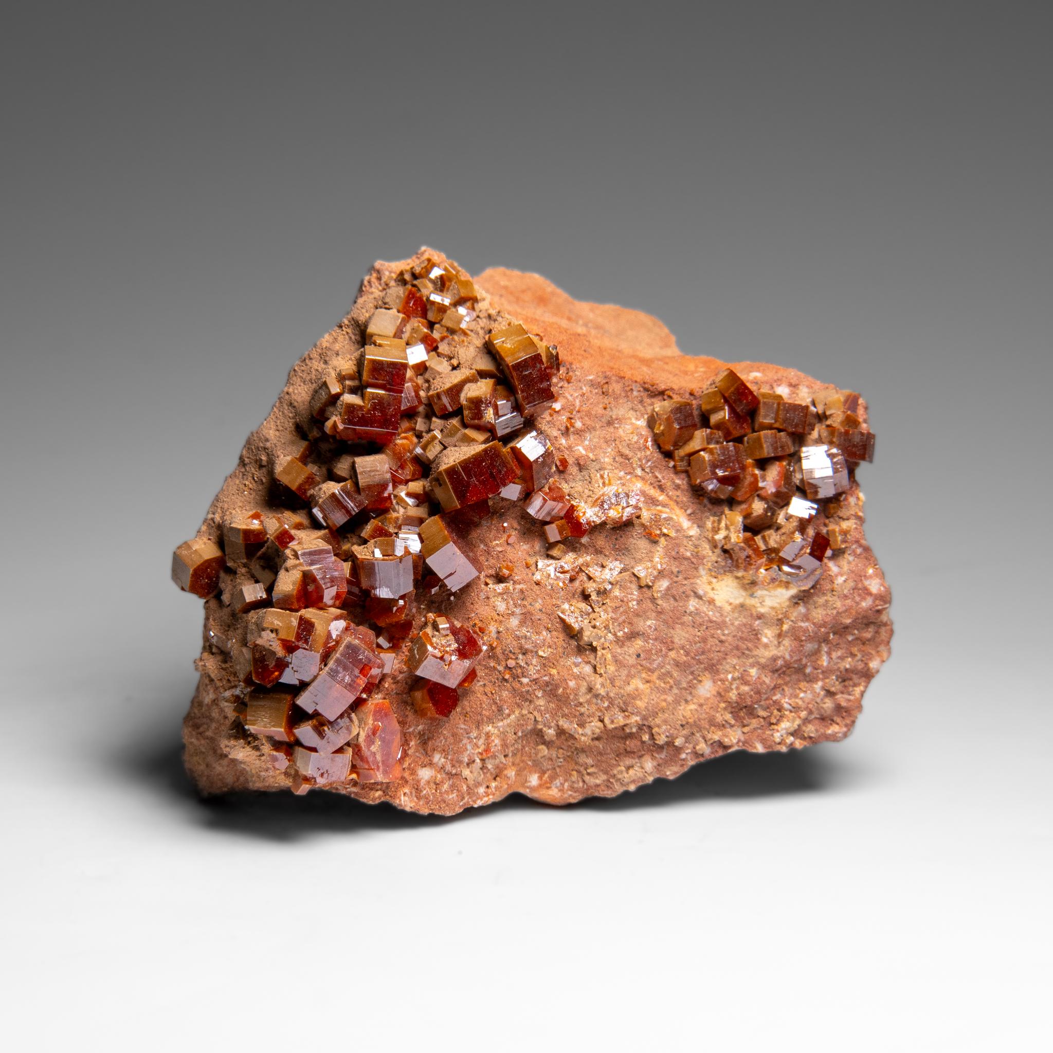 Vanadinite Crystal Cluster on Matrix - From Mibladen, Atlas Mountains, Morocco in vendita 1