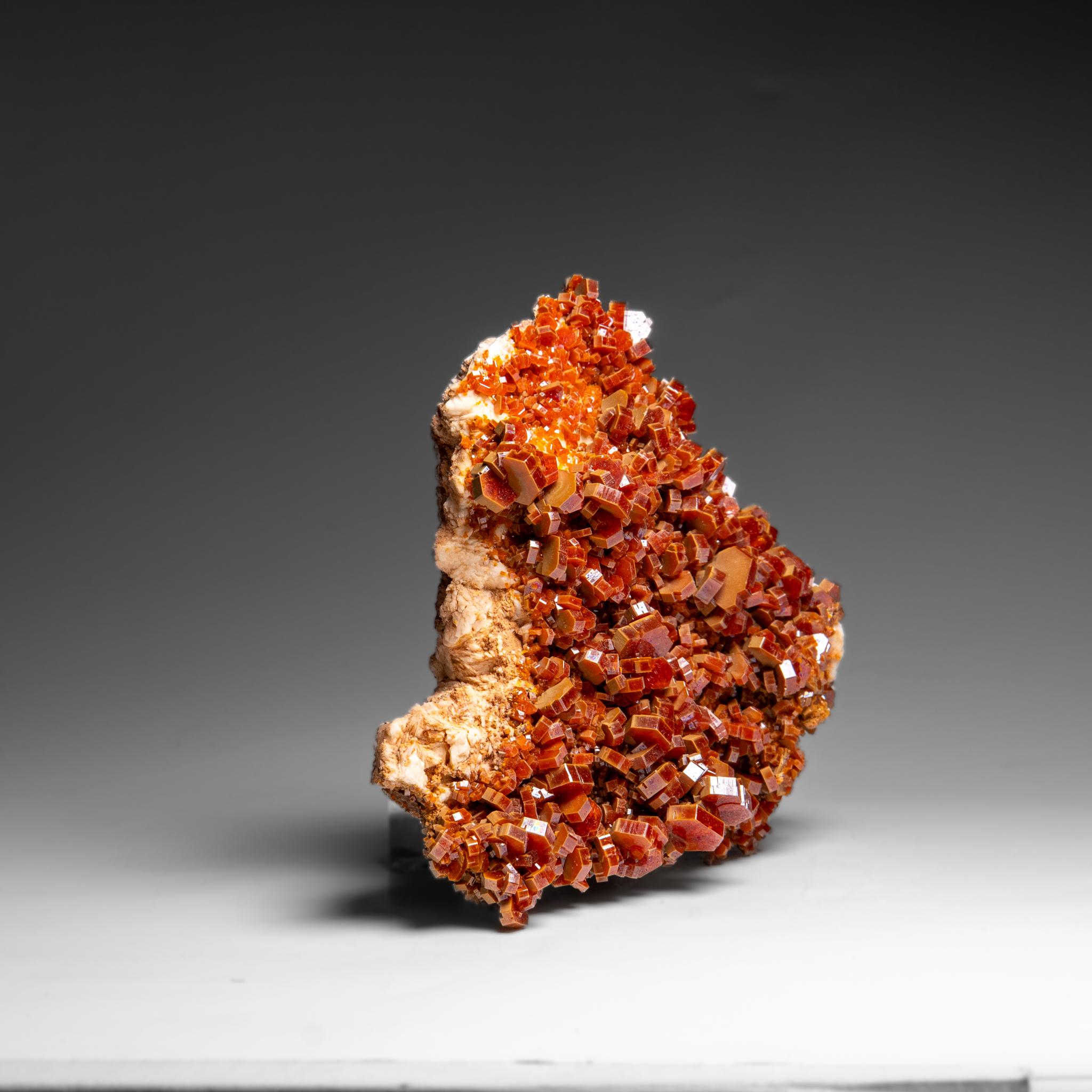 Vanadinite Crystal Cluster on Matrix - From Mibladen, Atlas Mountains, Morocco in vendita 1