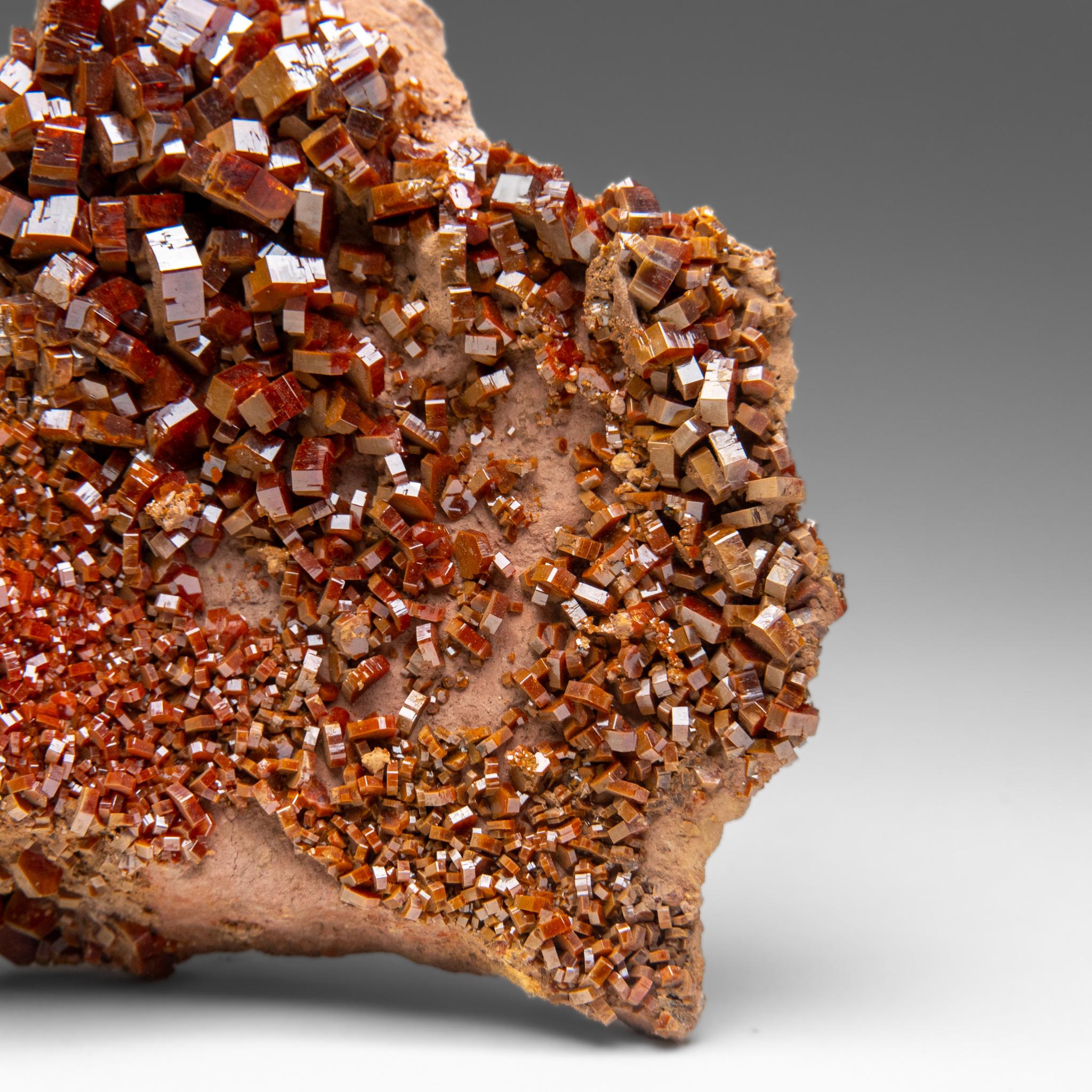 Vanadinite Crystal Cluster on Matrix - From Mibladen, Atlas Mountains, Morocco in vendita 1