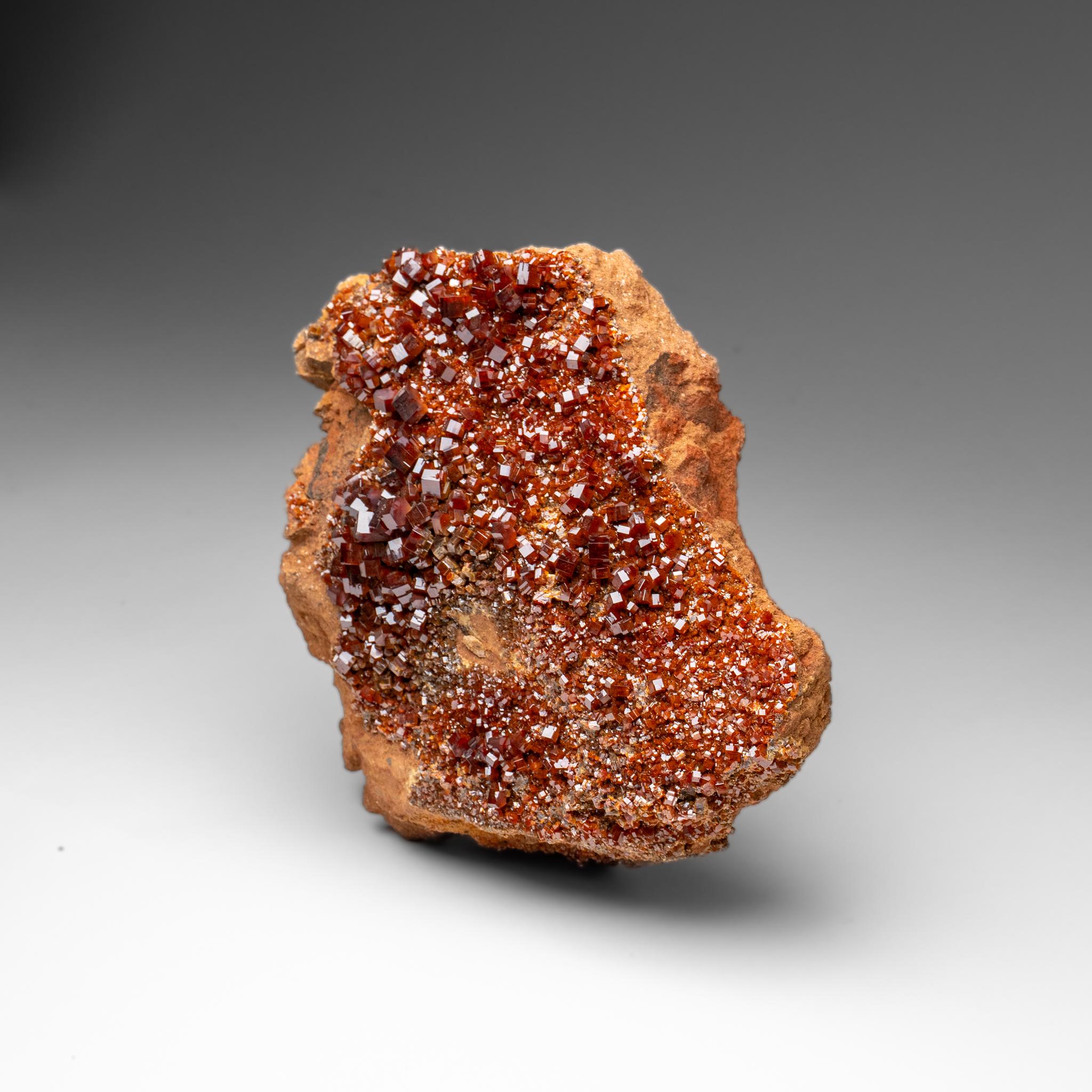 Vanadinite Crystal Cluster on Matrix - From Mibladen, Atlas Mountains, Morocco in vendita 1
