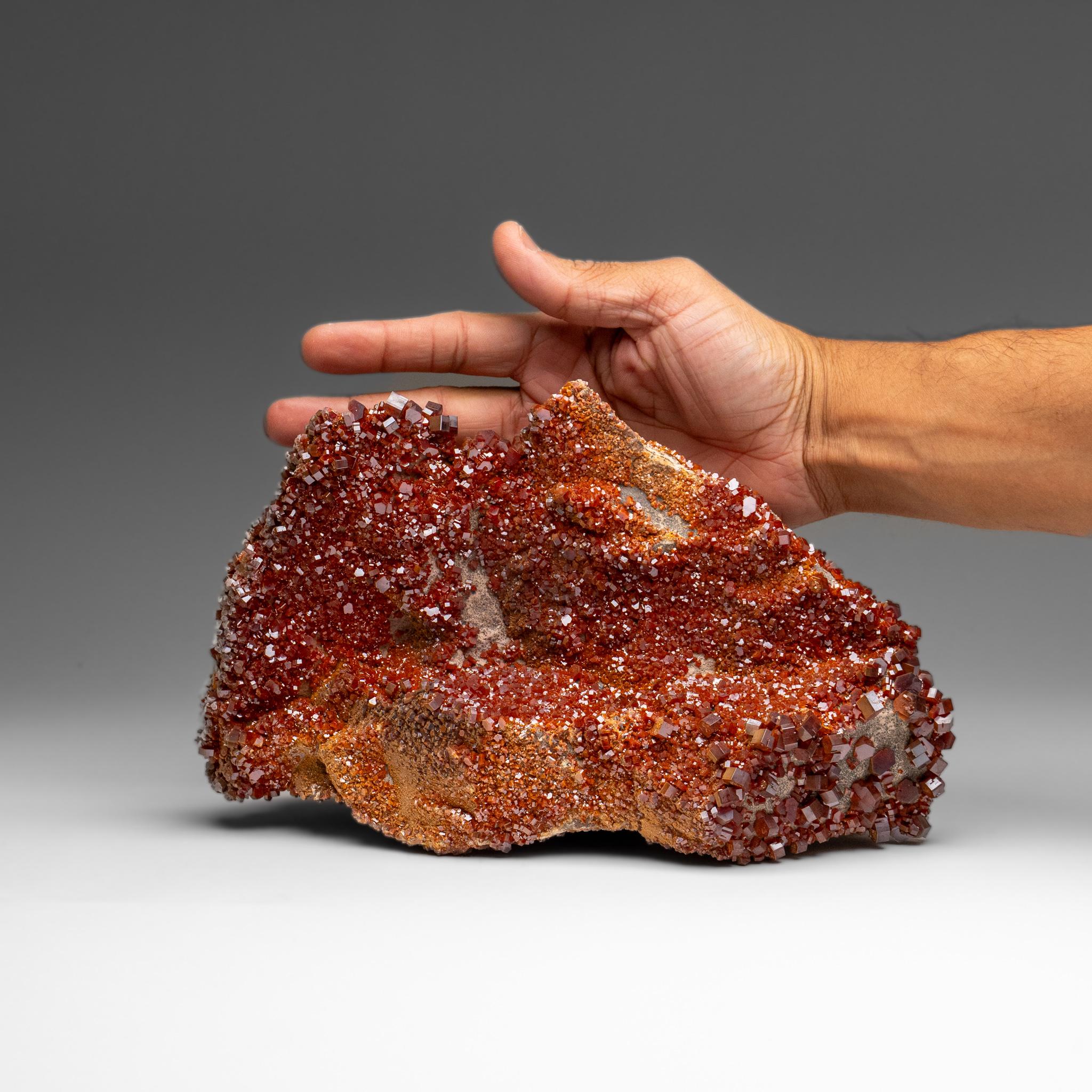 Vanadinite Crystal Cluster on Matrix - From Mibladen, Atlas Mountains, Morocco in vendita 1
