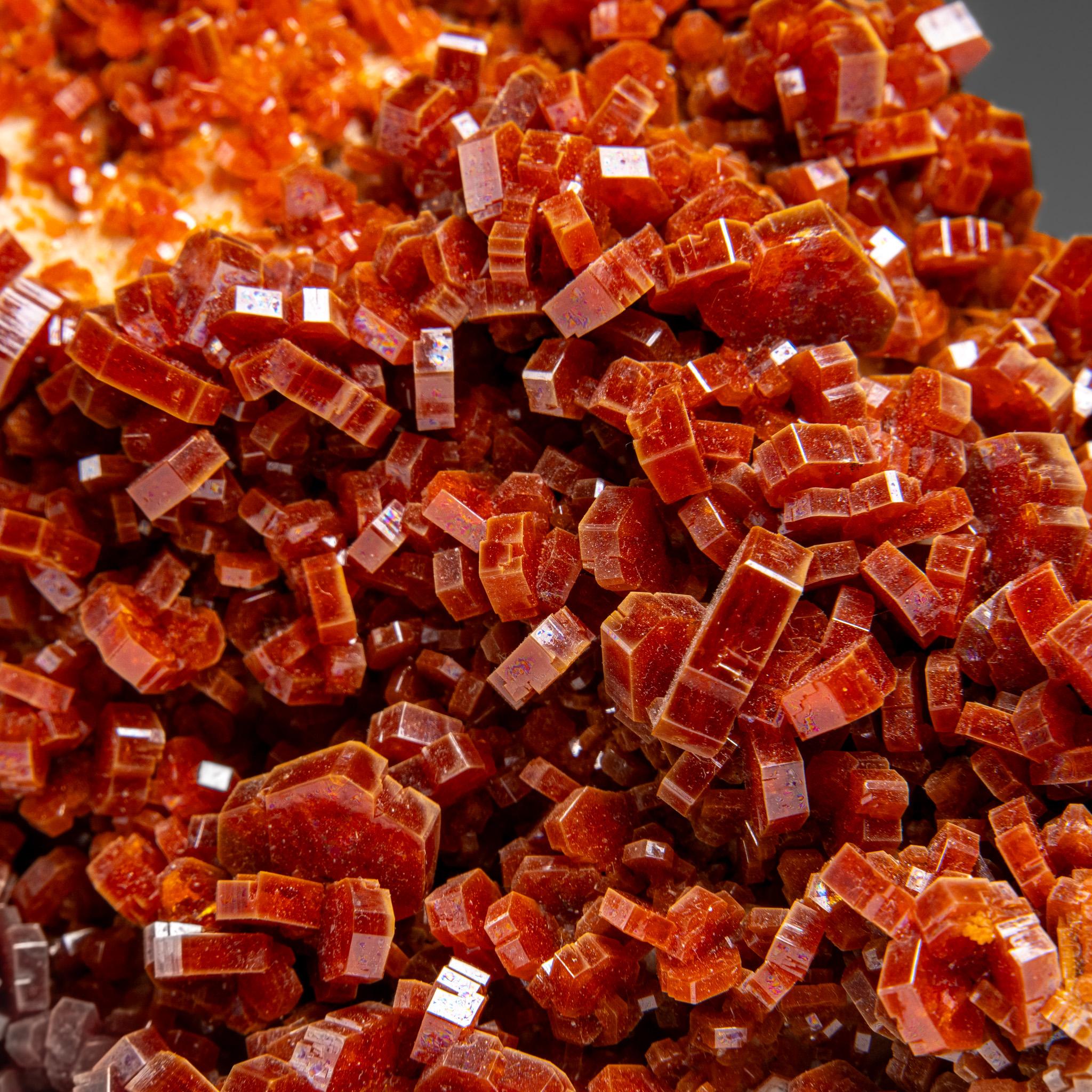 Vanadinite Crystal Cluster on Matrix - From Mibladen, Atlas Mountains, Morocco in vendita 2