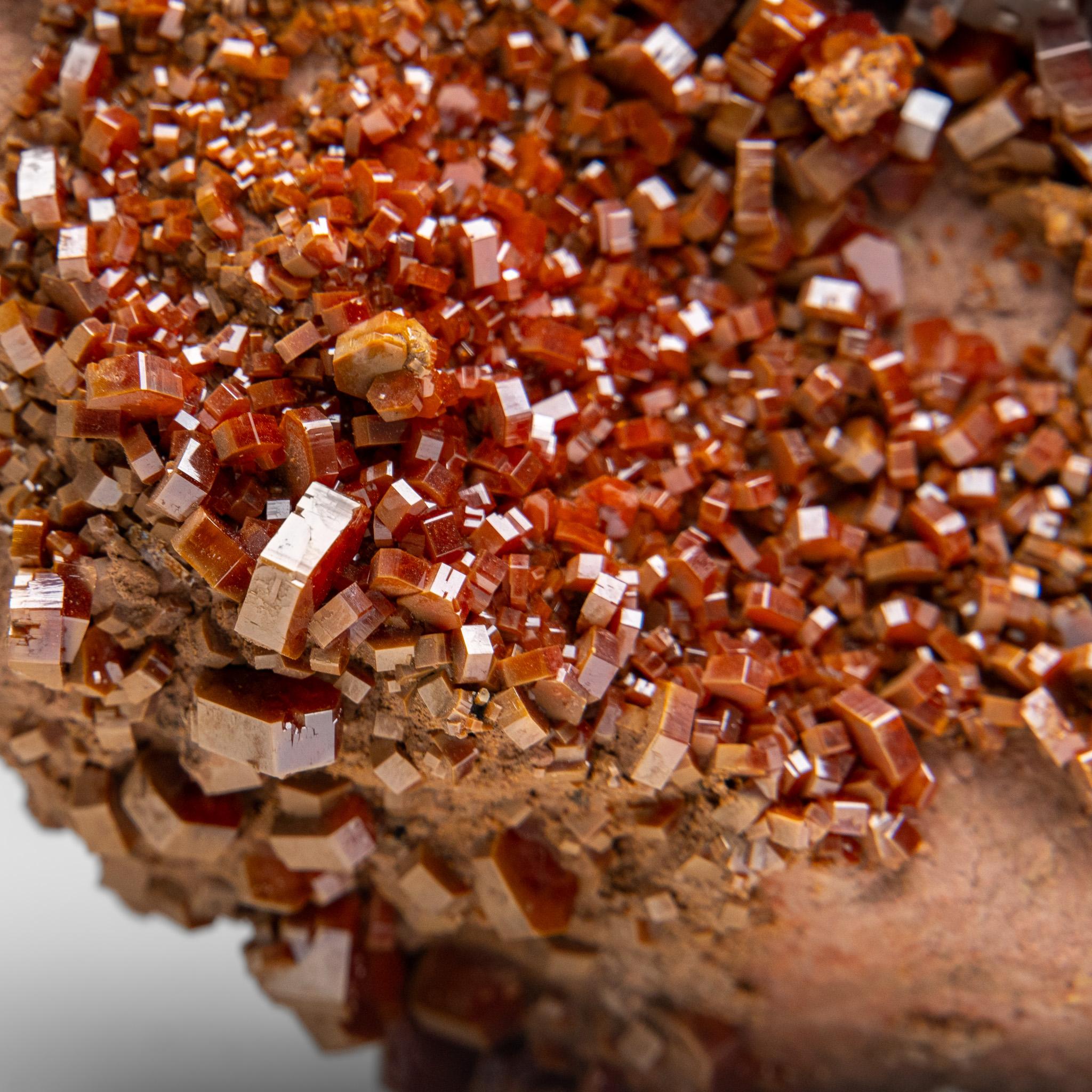 Vanadinite Crystal Cluster on Matrix - From Mibladen, Atlas Mountains, Morocco in vendita 2