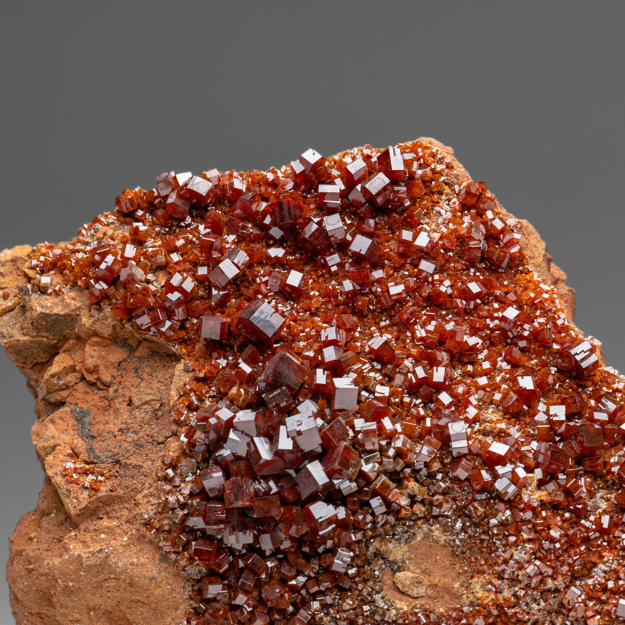 Vanadinite Crystal Cluster on Matrix - From Mibladen, Atlas Mountains, Morocco in vendita 2