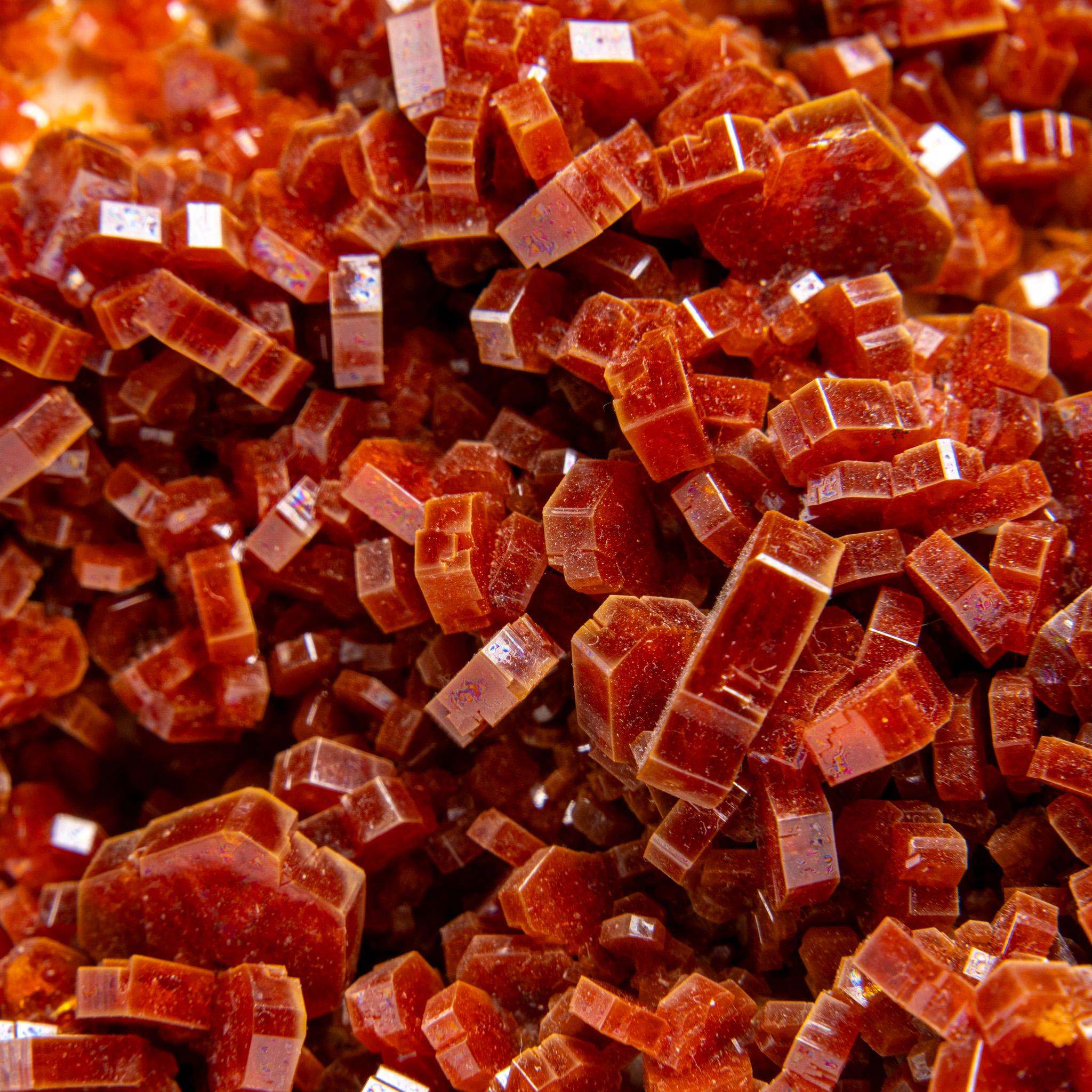 Vanadinite Crystal Cluster on Matrix - From Mibladen, Atlas Mountains, Morocco in vendita 3