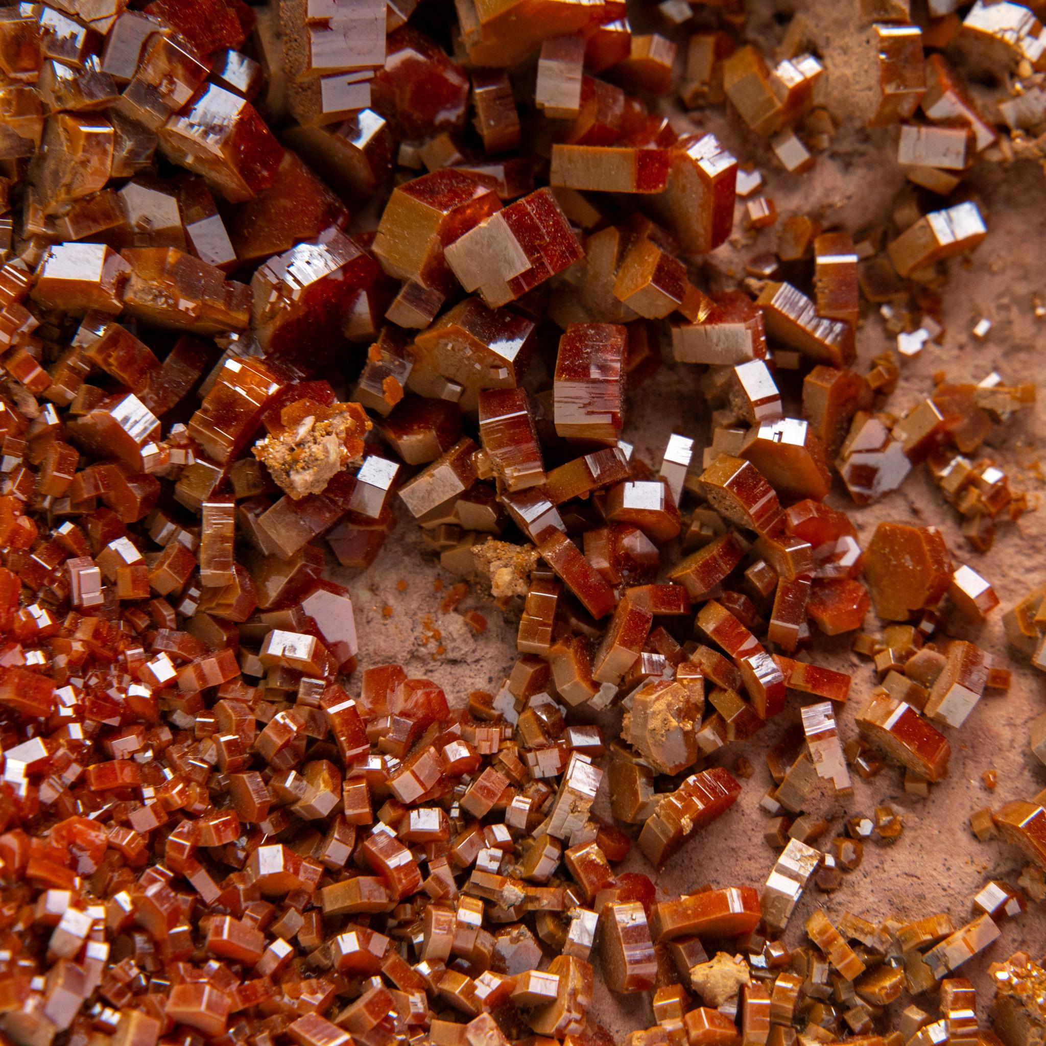 Vanadinite Crystal Cluster on Matrix - From Mibladen, Atlas Mountains, Morocco in vendita 3