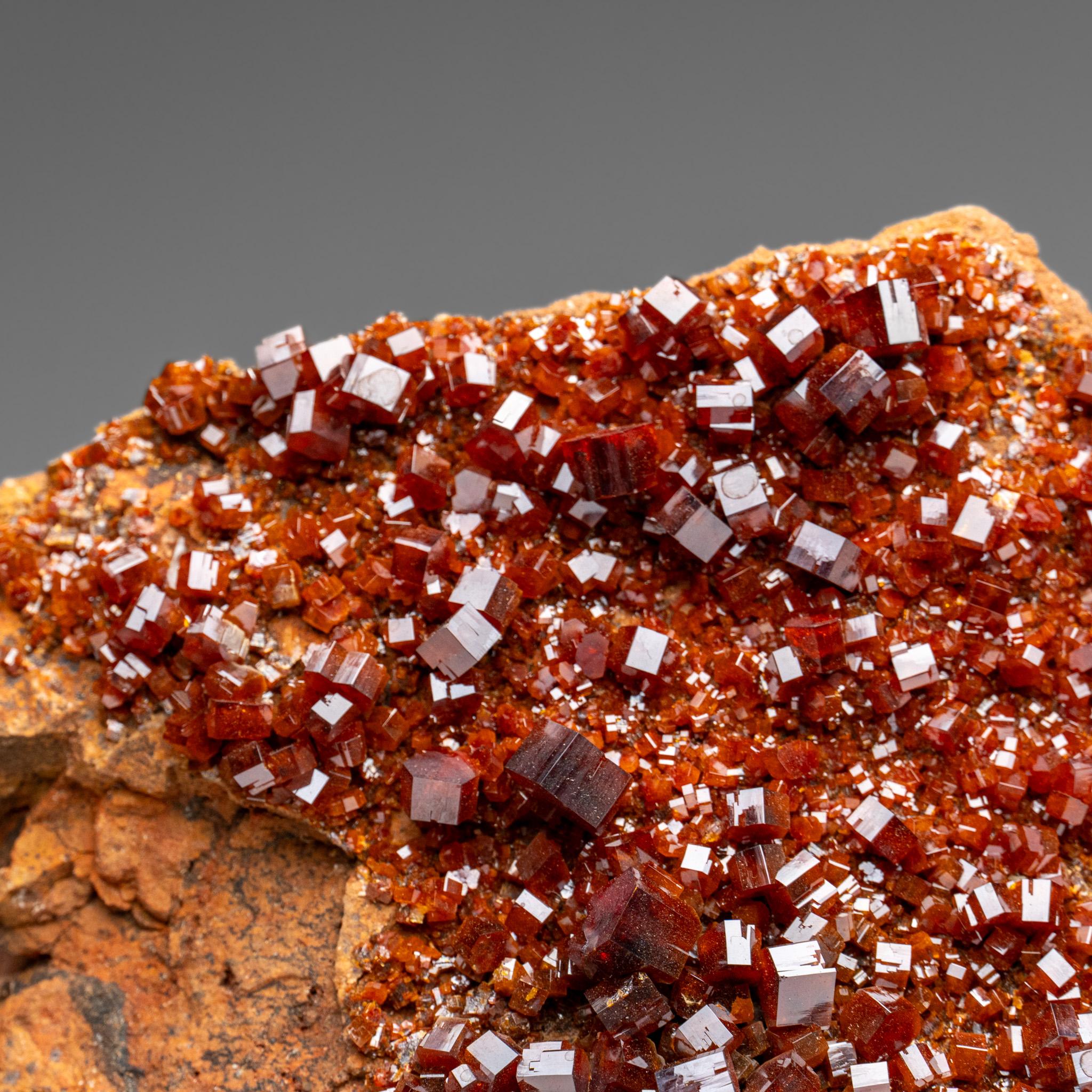 Vanadinite Crystal Cluster on Matrix - From Mibladen, Atlas Mountains, Morocco in vendita 3