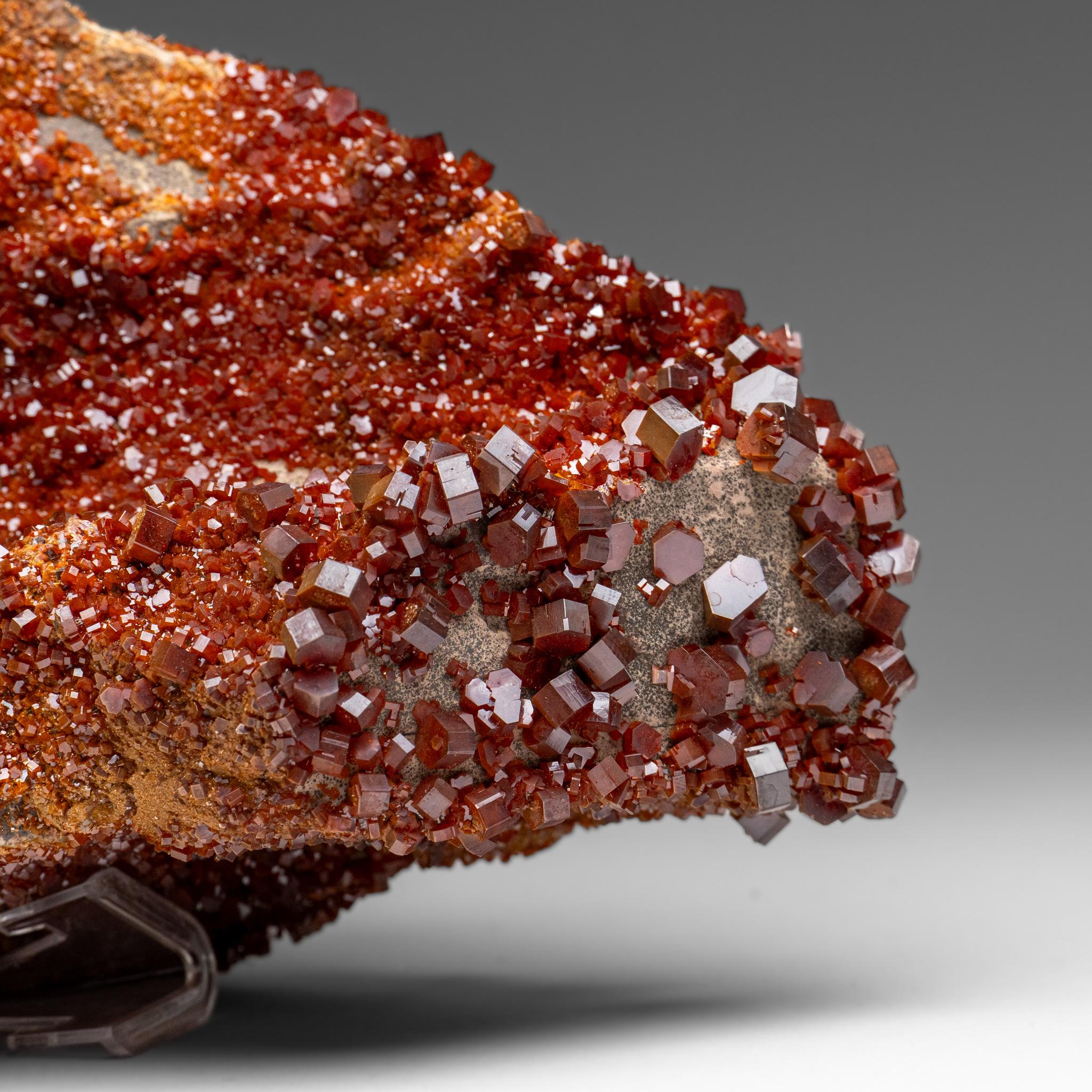 Vanadinite Crystal Cluster on Matrix - From Mibladen, Atlas Mountains, Morocco in vendita 3
