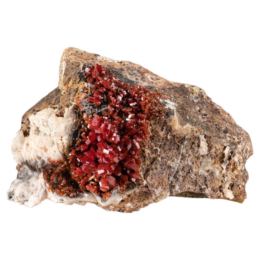 Vanadinite Crystal Cluster on Matrix - From Mibladen, Atlas Mountains, Morocco For Sale