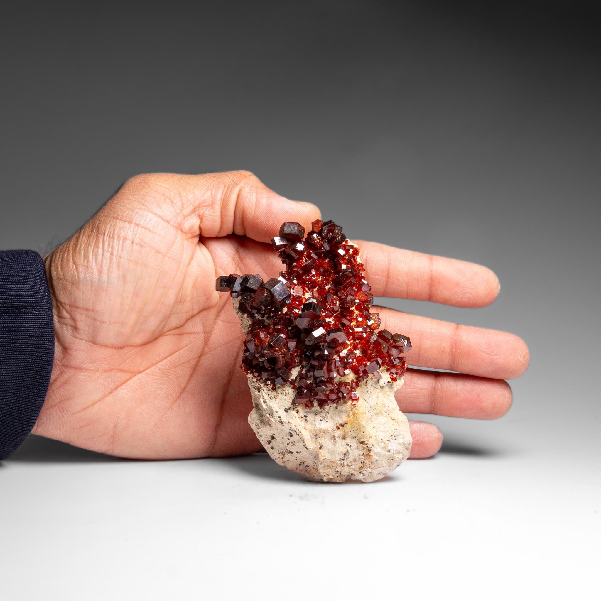 Marocchino Vanadinite Crystal Cluster on Matrix from Morocco in vendita